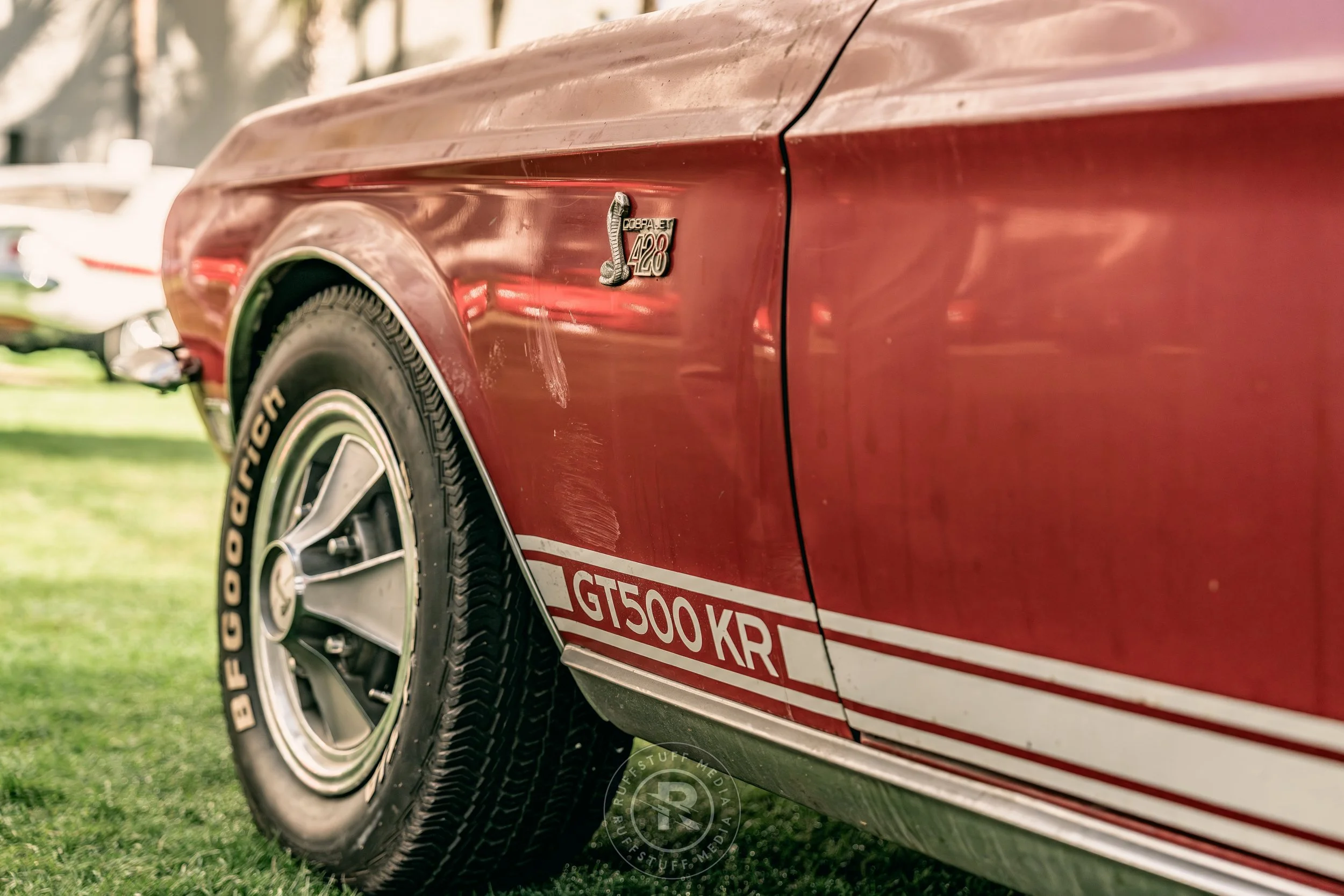 Amelia 260305-10_resize.JPG