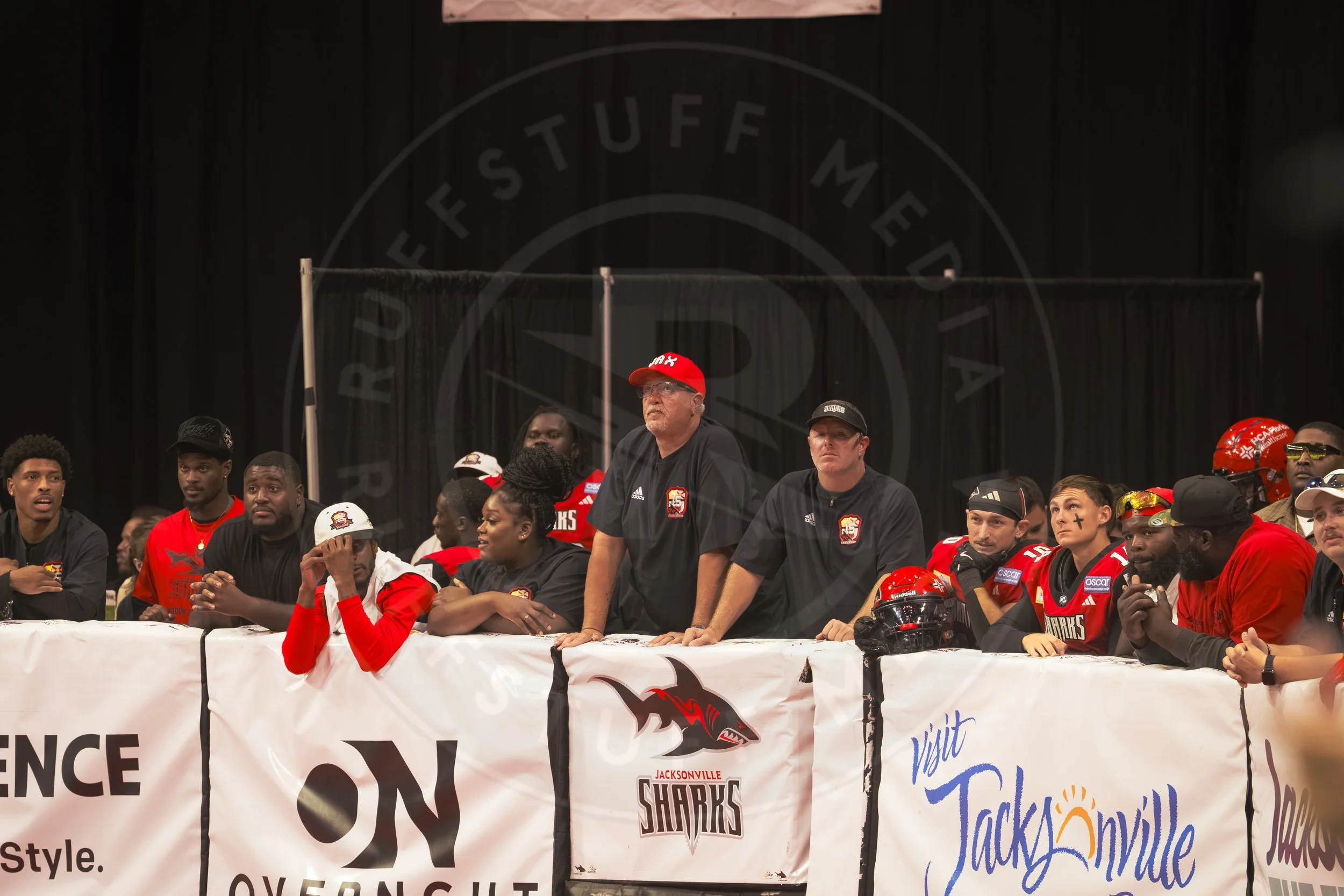 Sharks 260801-152.JPG