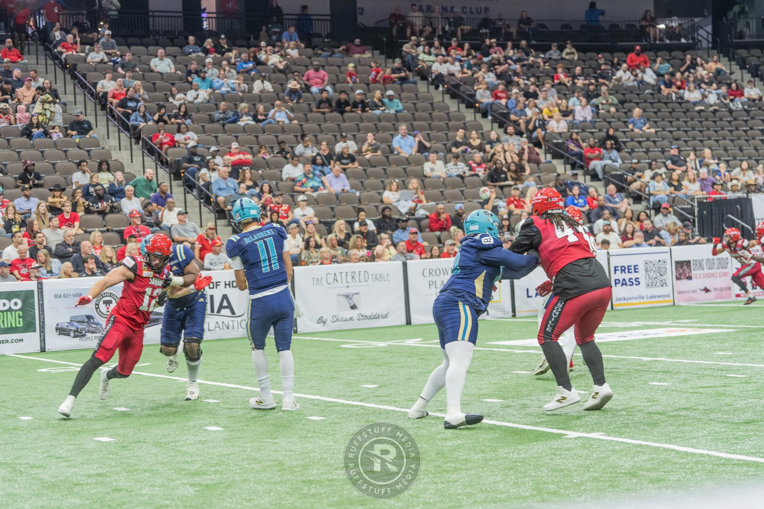 Sharks 260417-398_resize.JPG