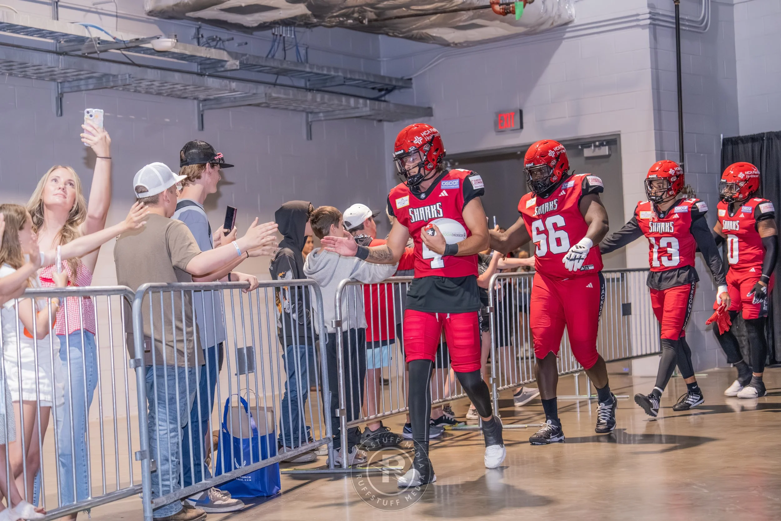 Sharks 260417-34_resize.JPG