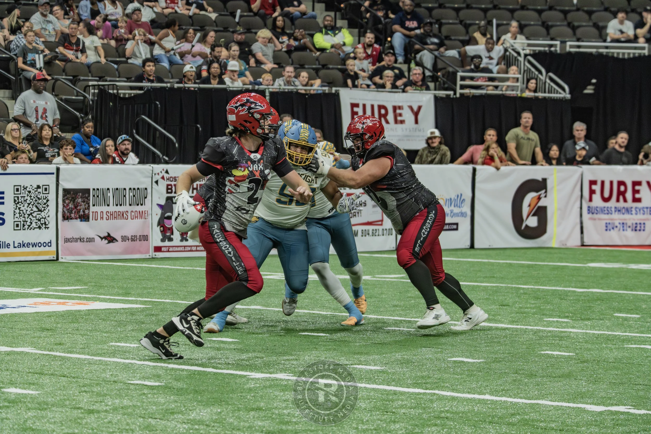 Sharks 260530-651.JPG