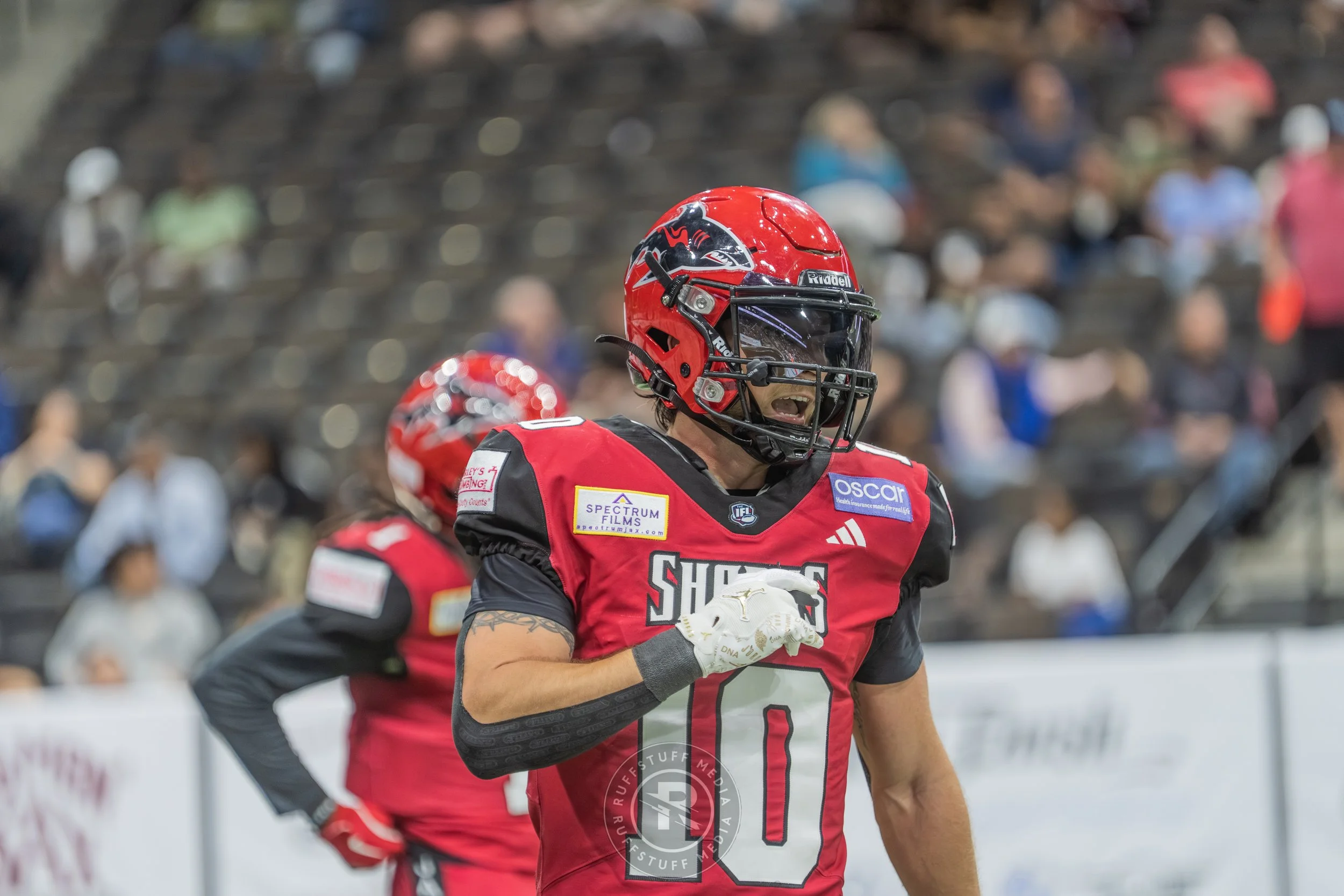 Sharks 260417-491.JPG