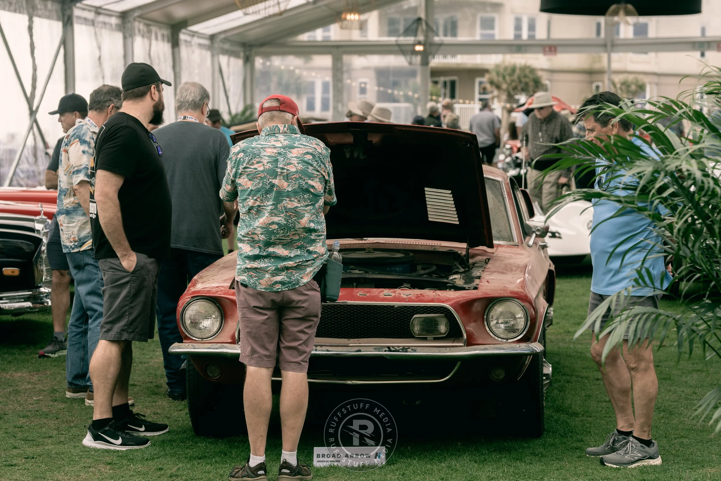 Amelia 260306-58.JPG