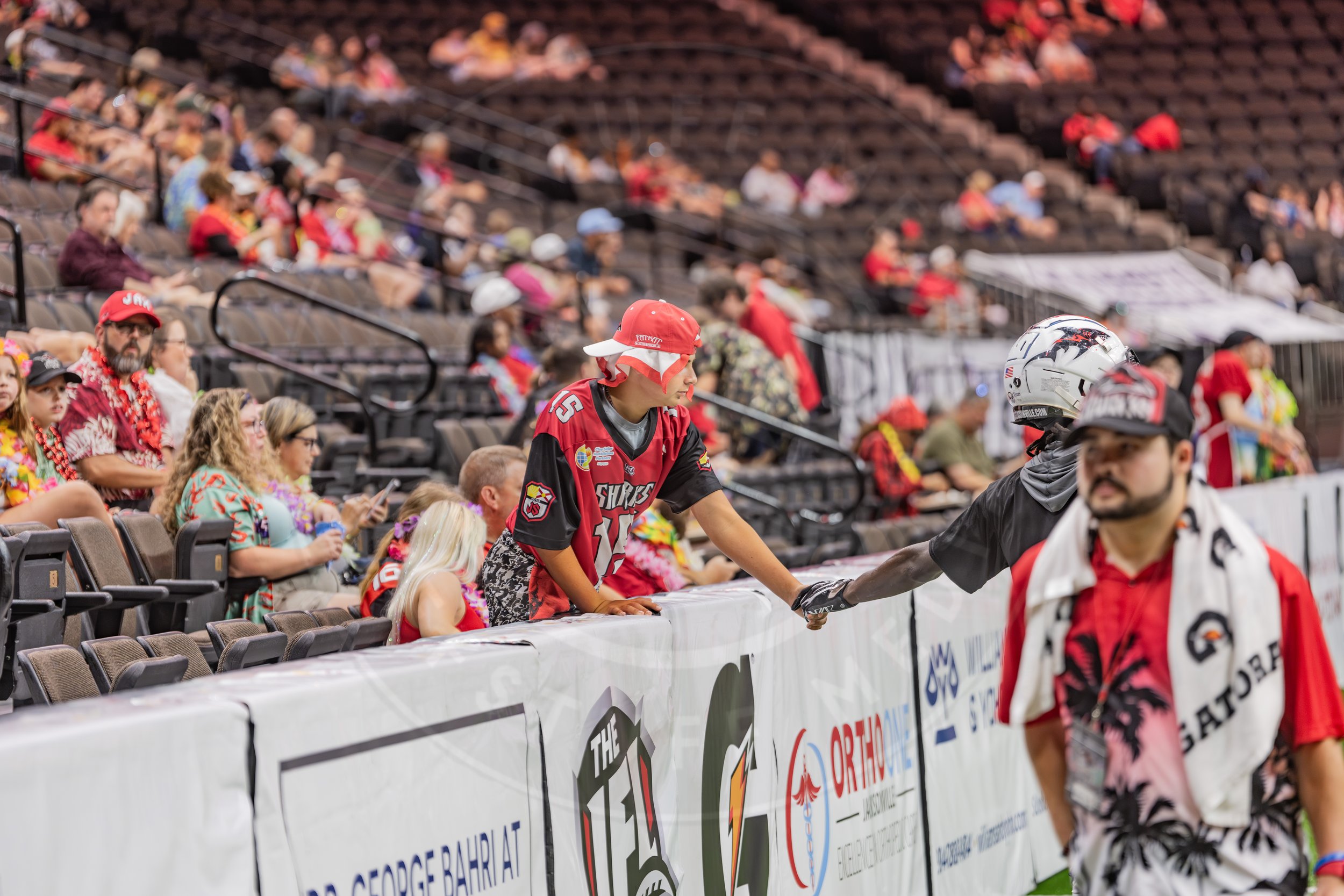 Sharks 260718-1.JPG