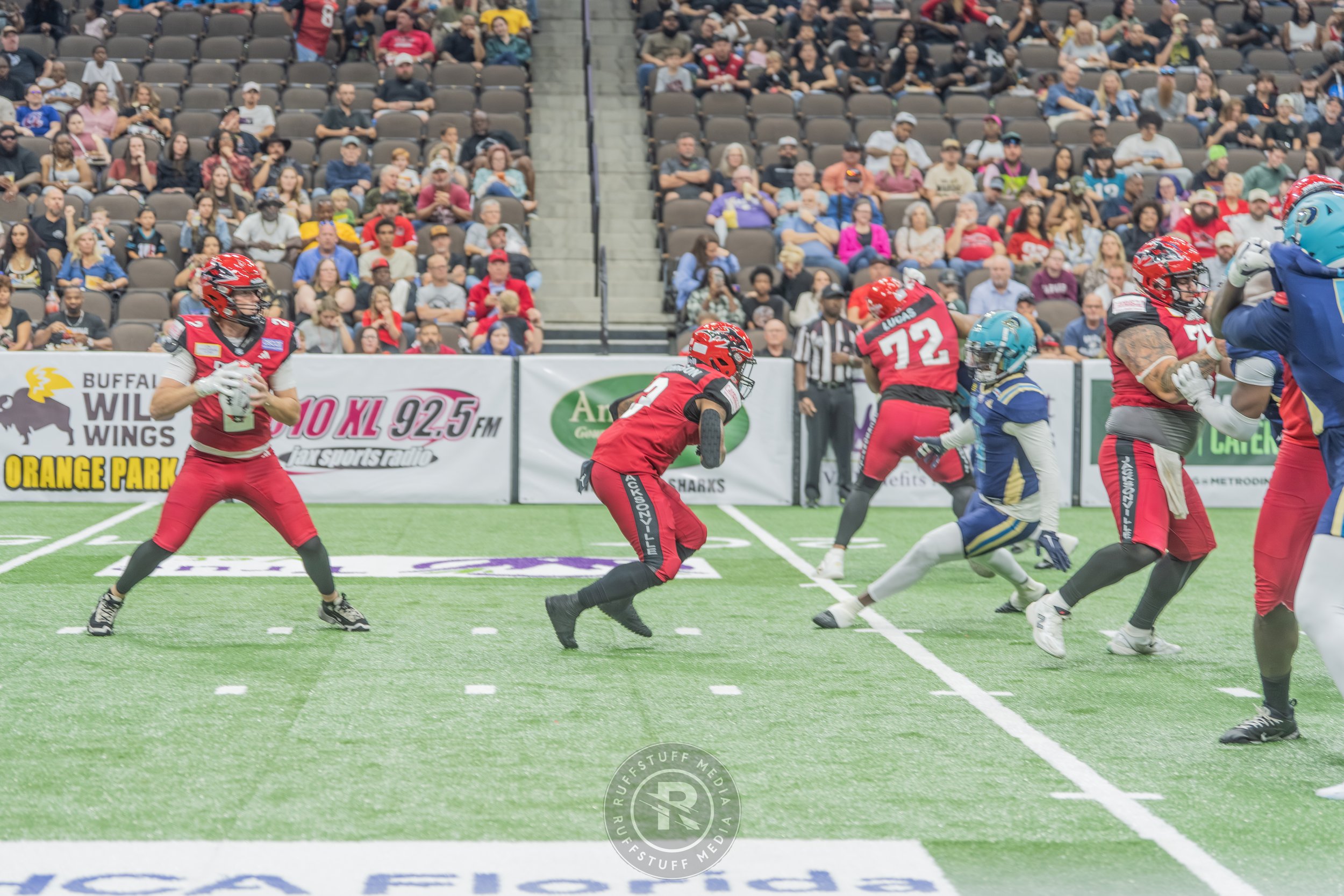 Sharks 260417-166.JPG