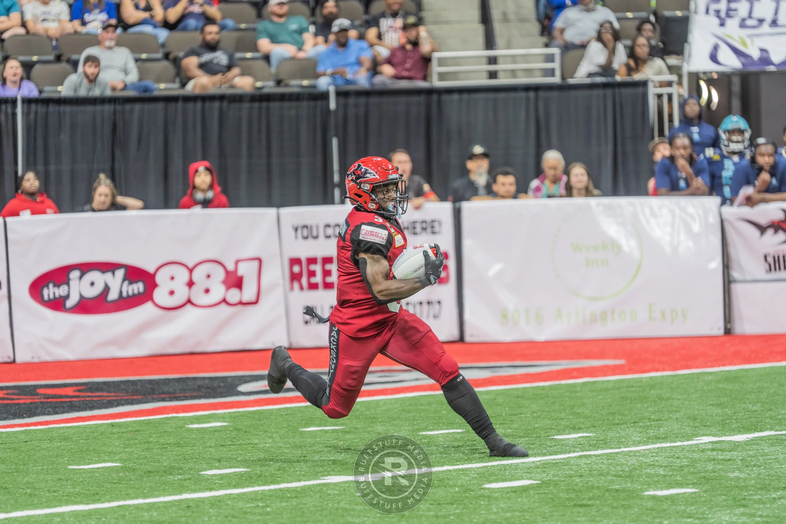 Sharks 260417-462.JPG