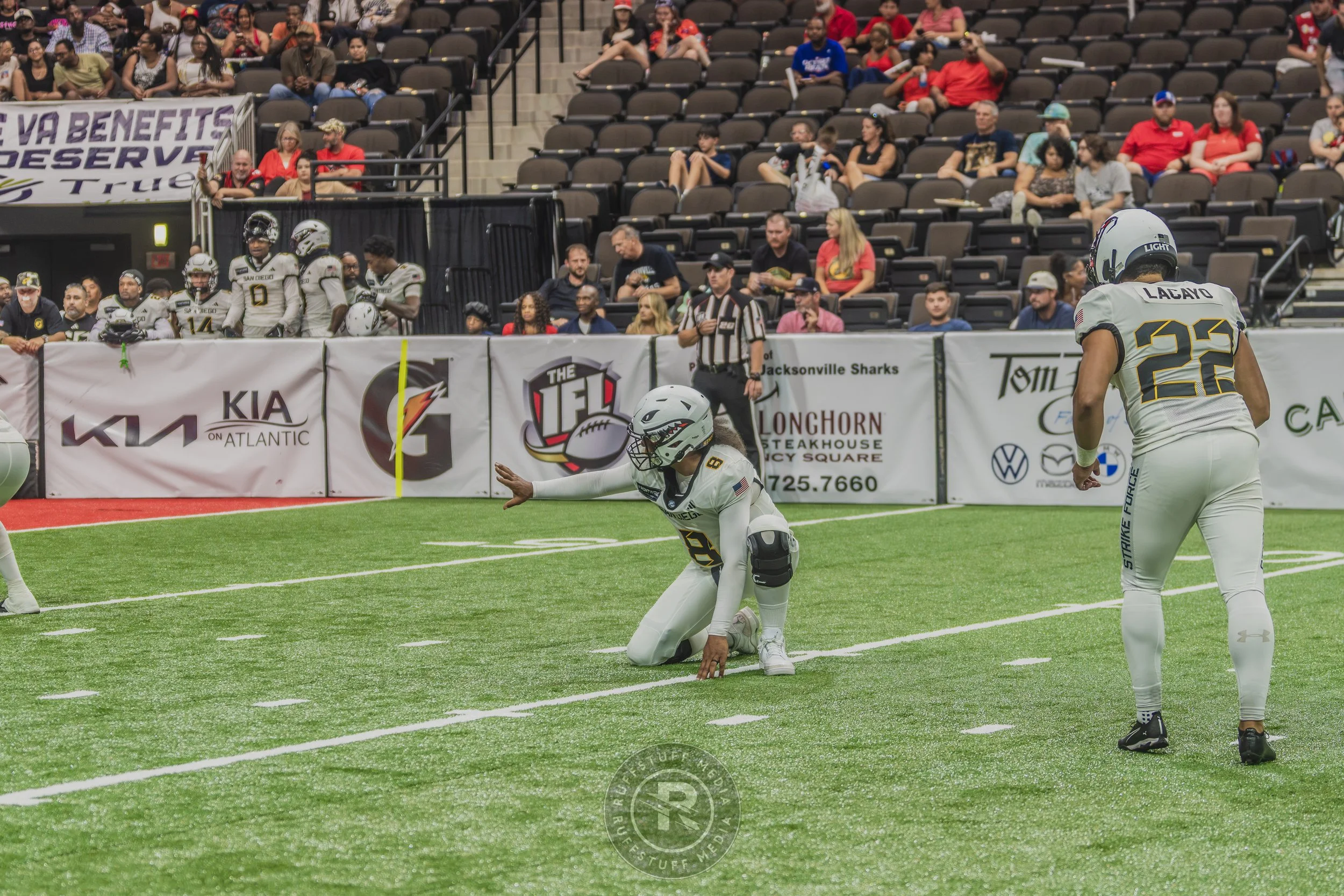 Sharks 260628-565.JPG
