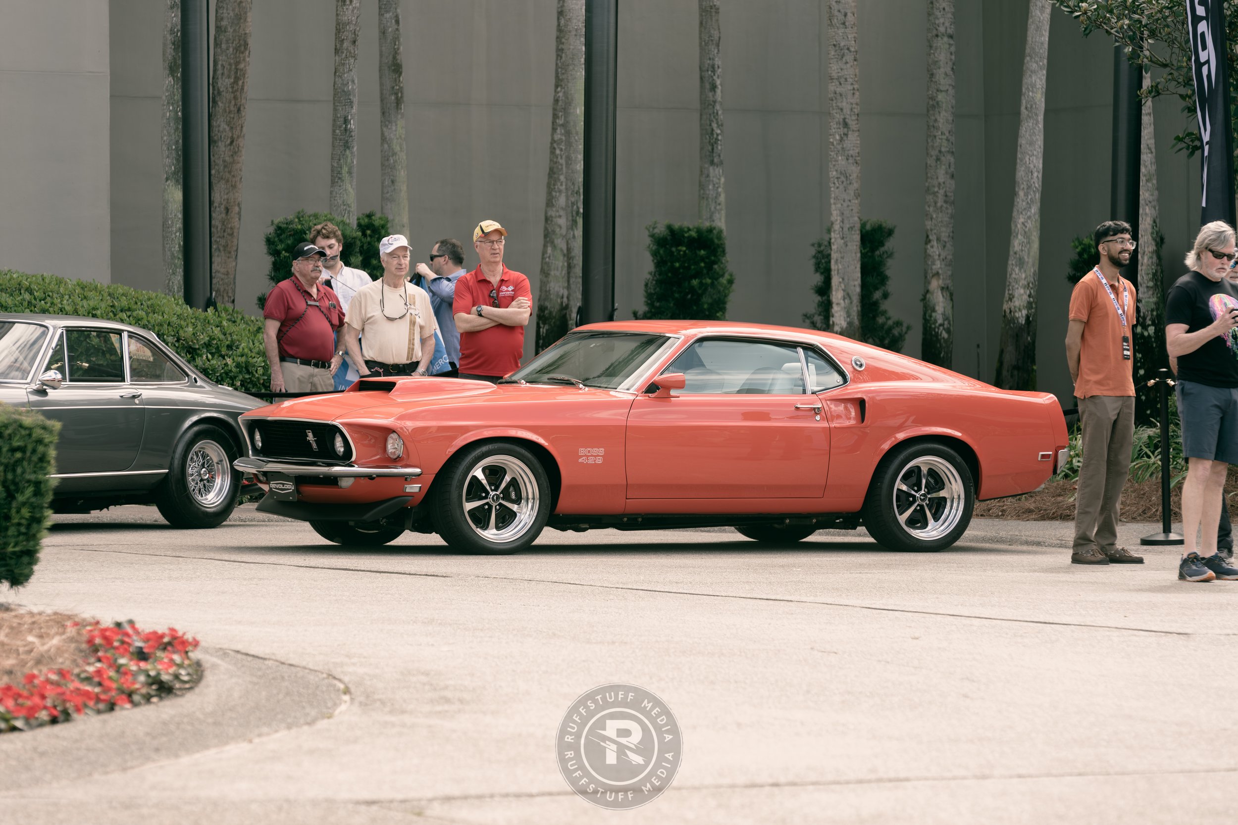 Amelia 260306-17.JPG