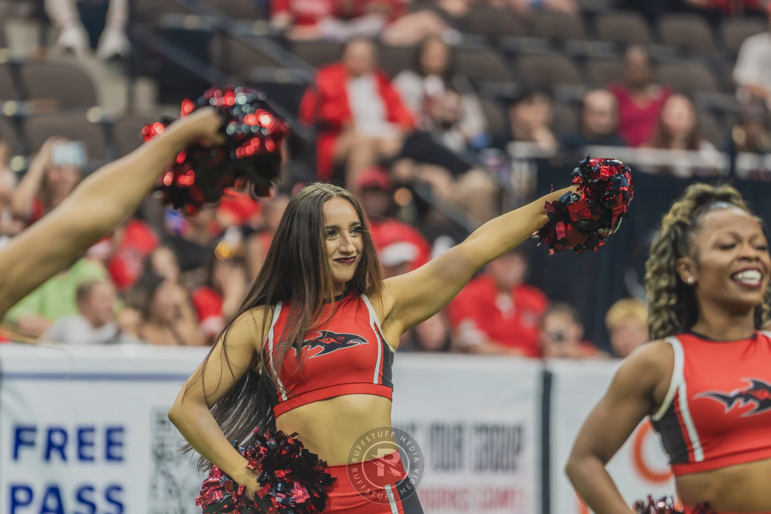 Sharks 260628-246.JPG