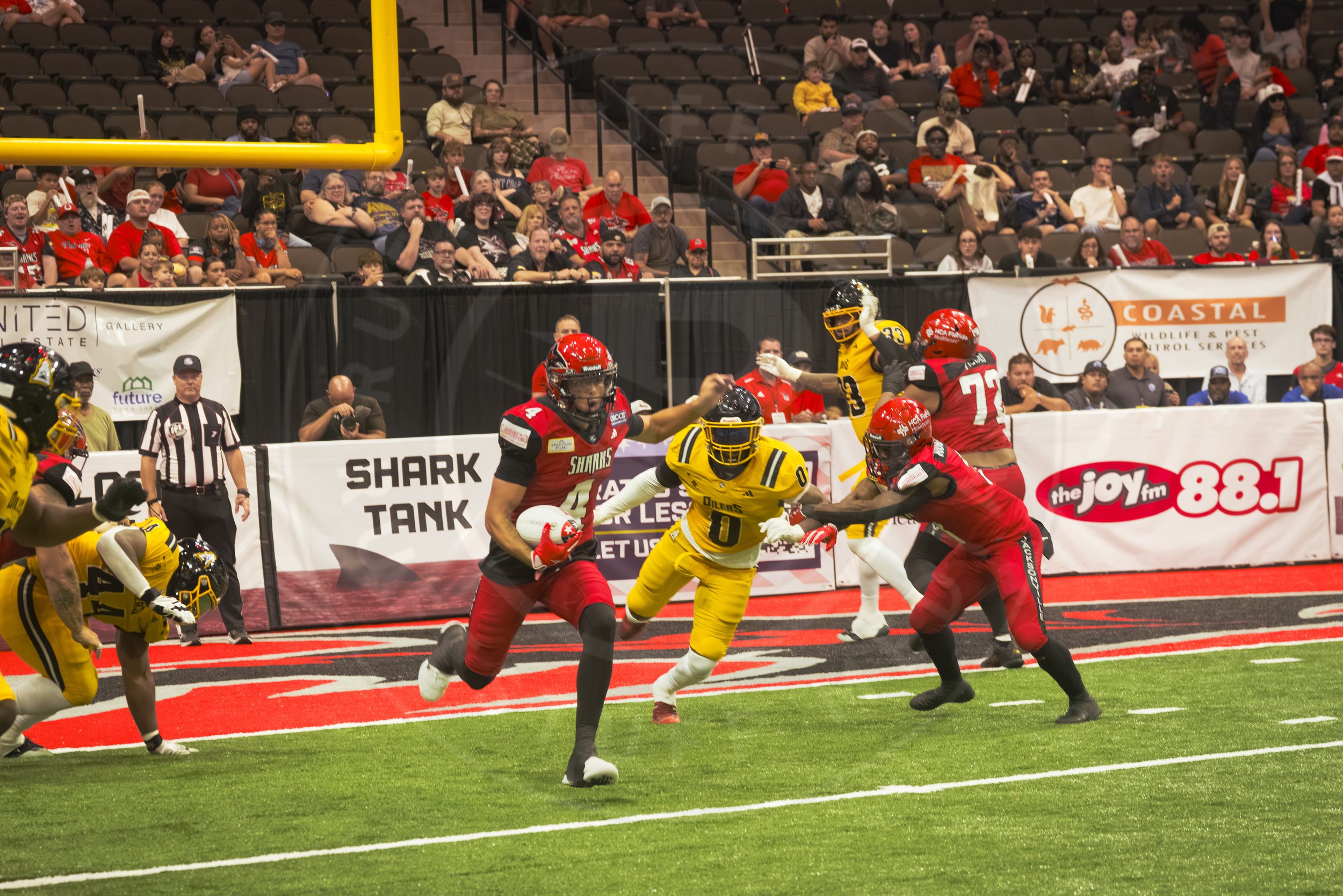 Sharks 260801-140.JPG