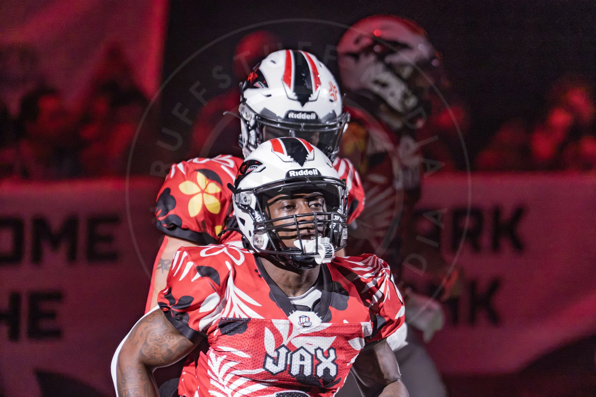 Sharks 260718-79.JPG