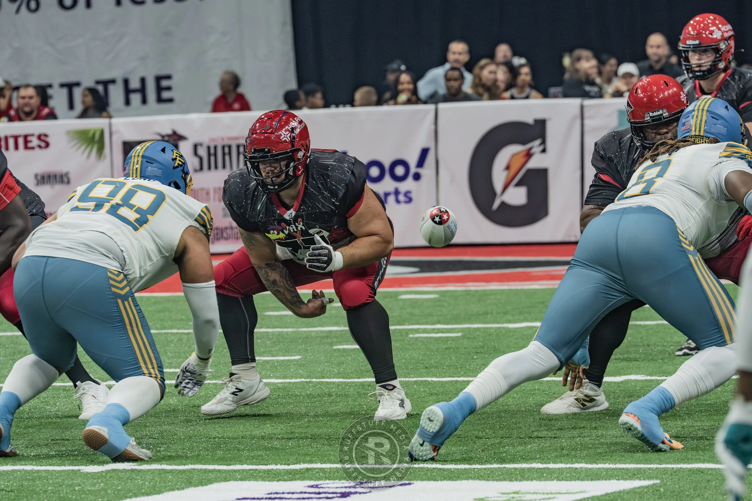 Sharks 260530-181.JPG