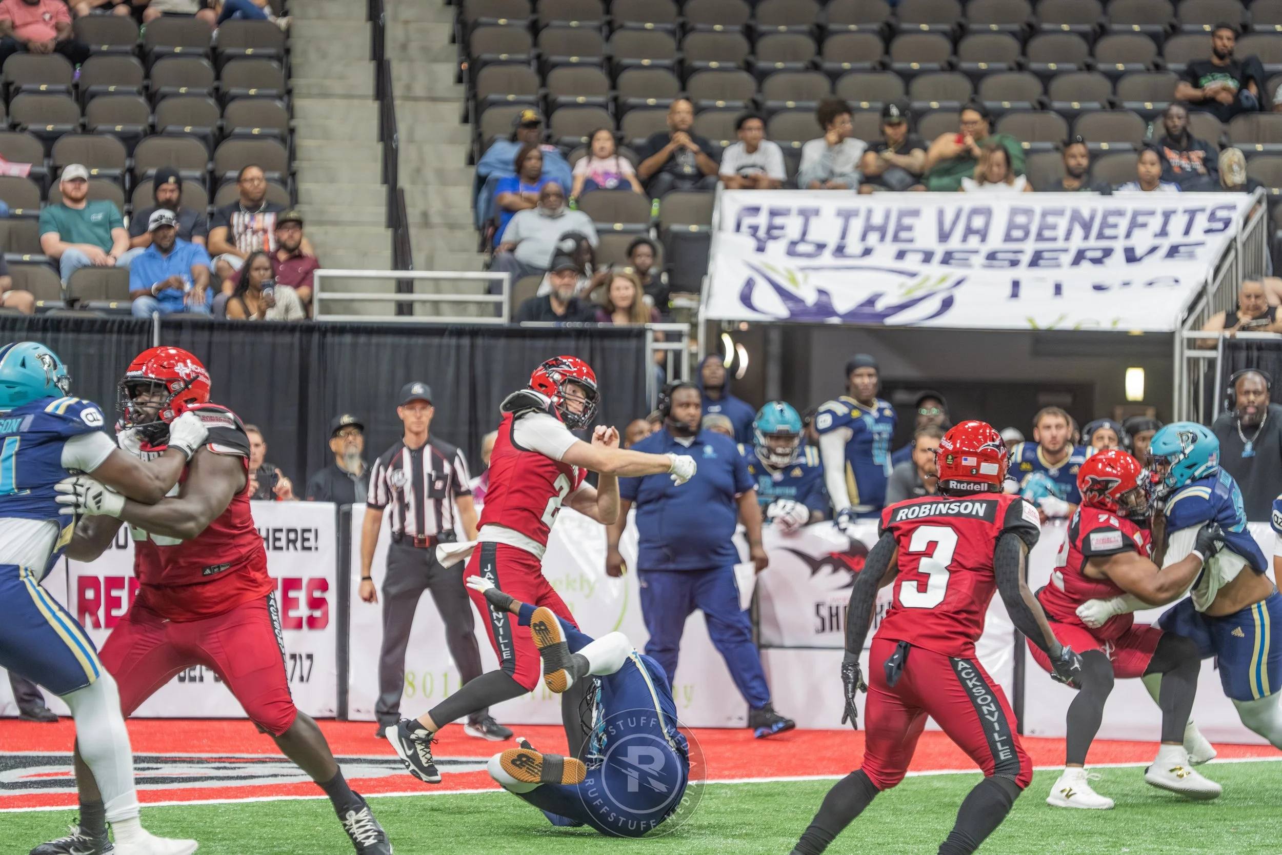 Sharks 260417-478_resize.JPG