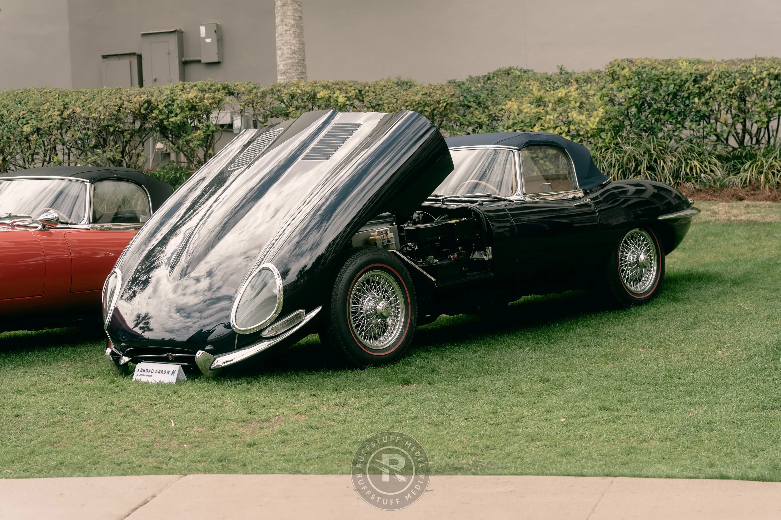 Amelia 260306-50.JPG