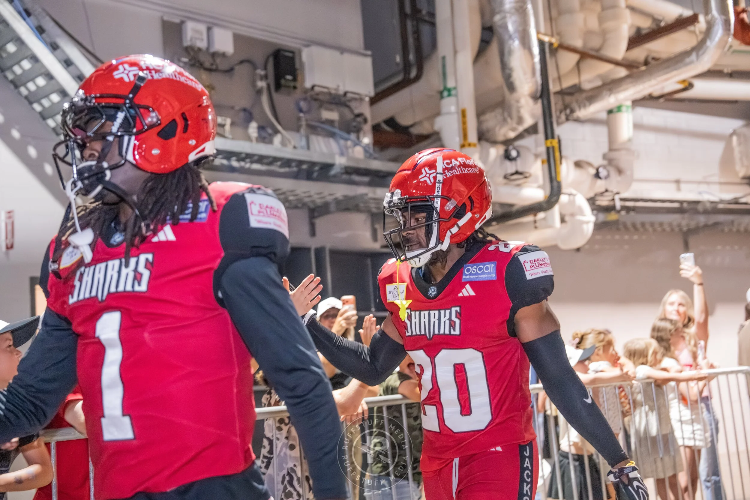 Sharks 260417-32_resize.JPG