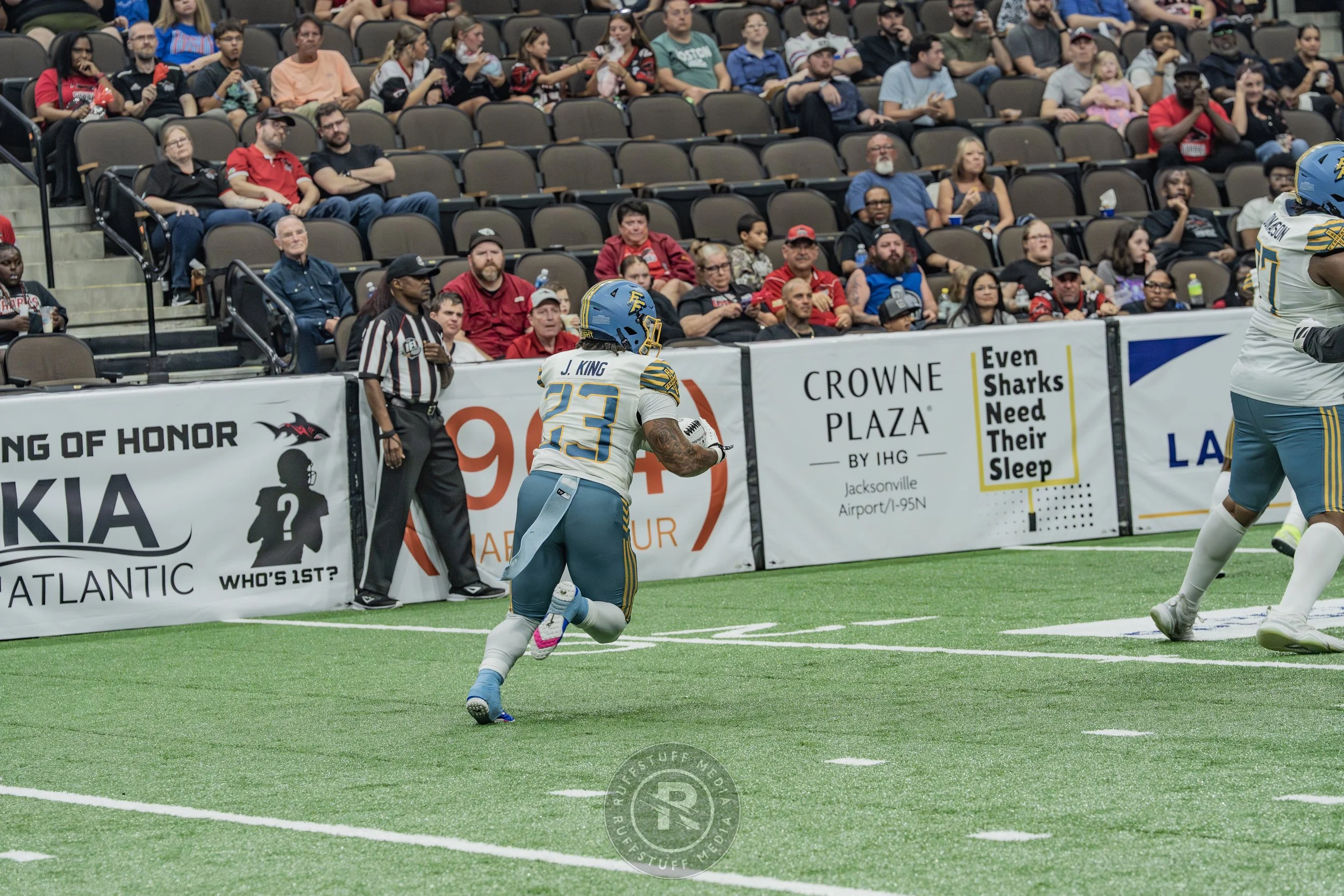 Sharks 260530-460.JPG