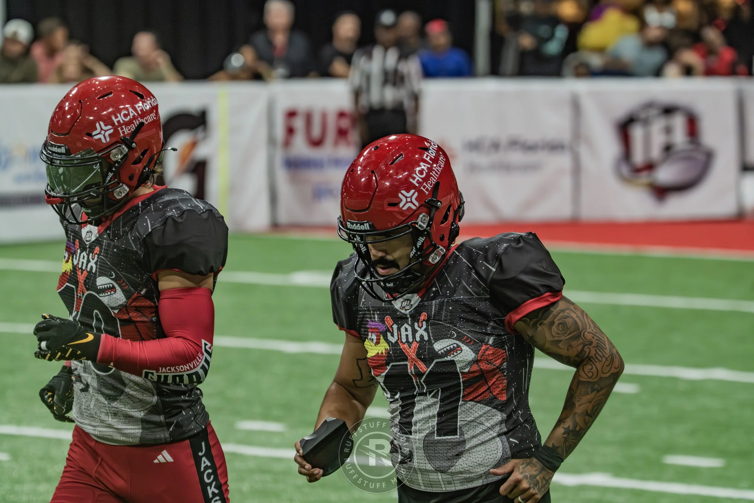 Sharks 260530-676.JPG