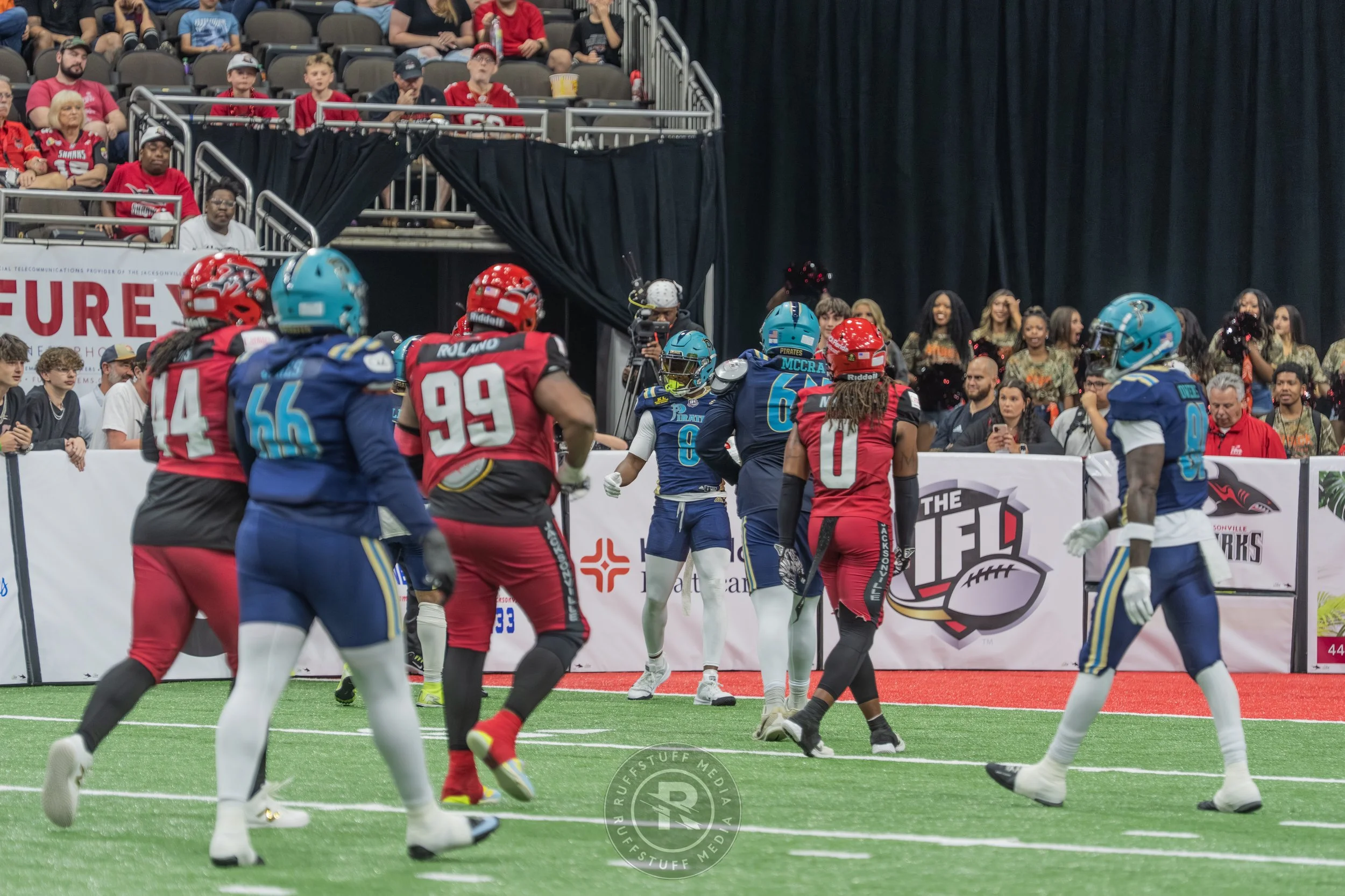 Sharks 260417-355.JPG