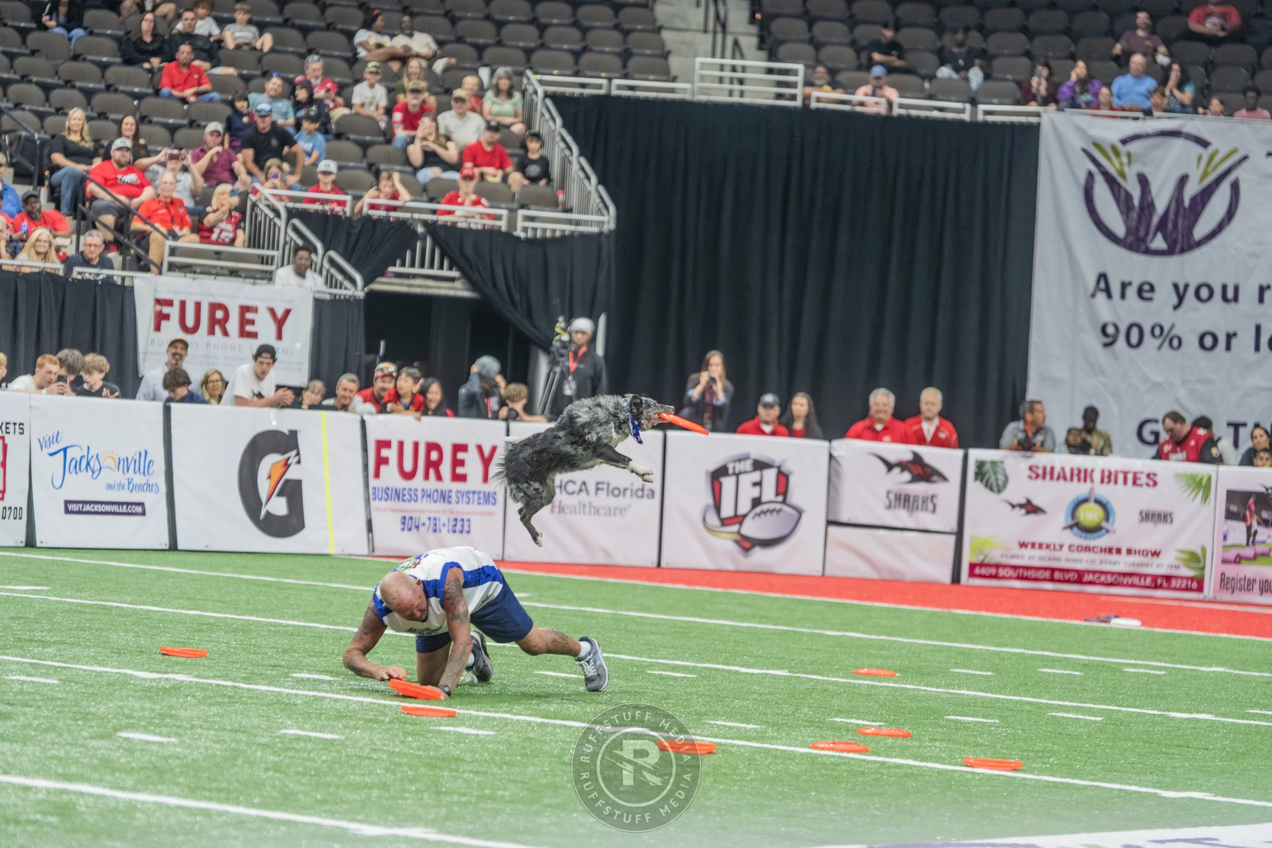 Sharks 260417-292.JPG