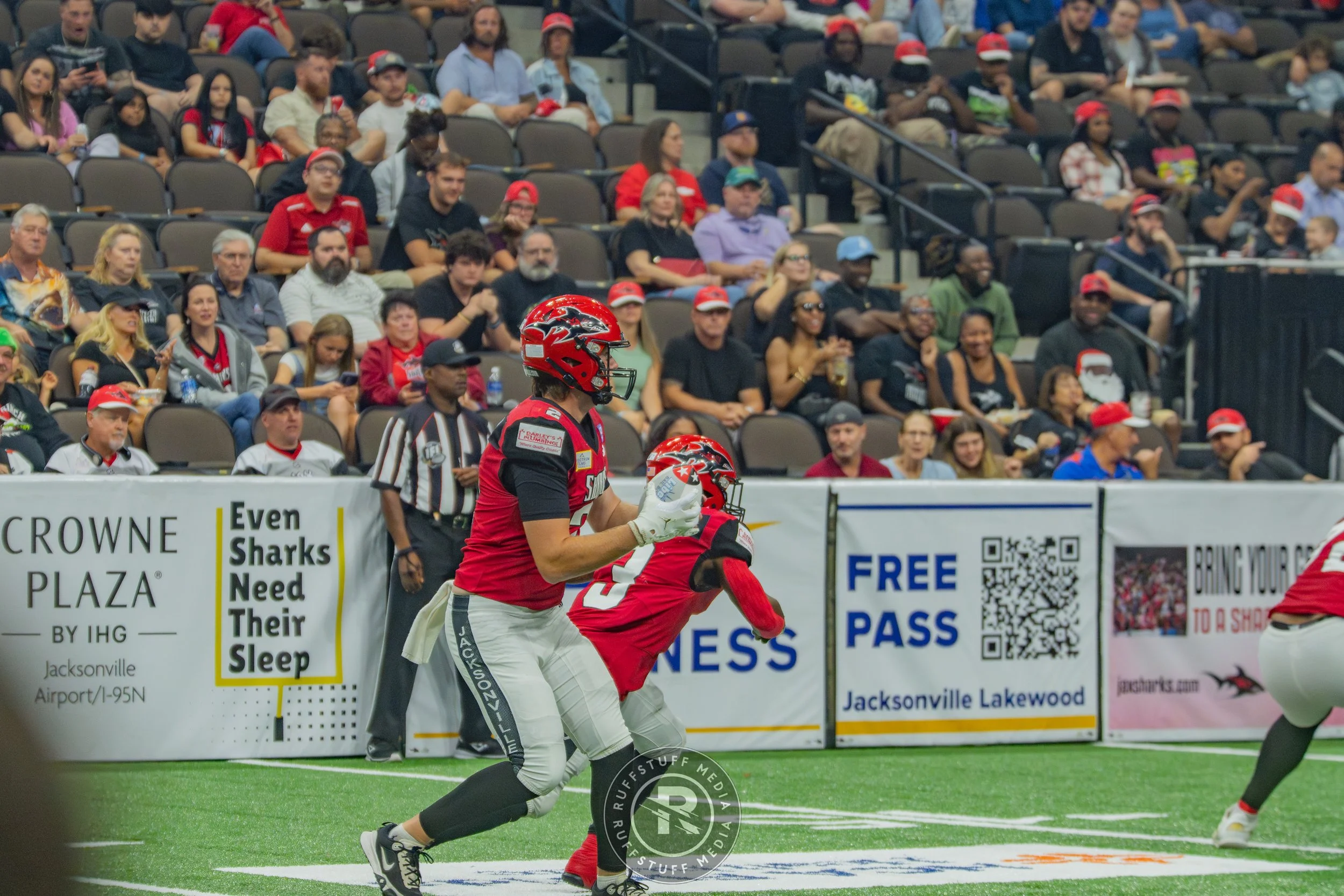 Sharks 260606-183.jpg