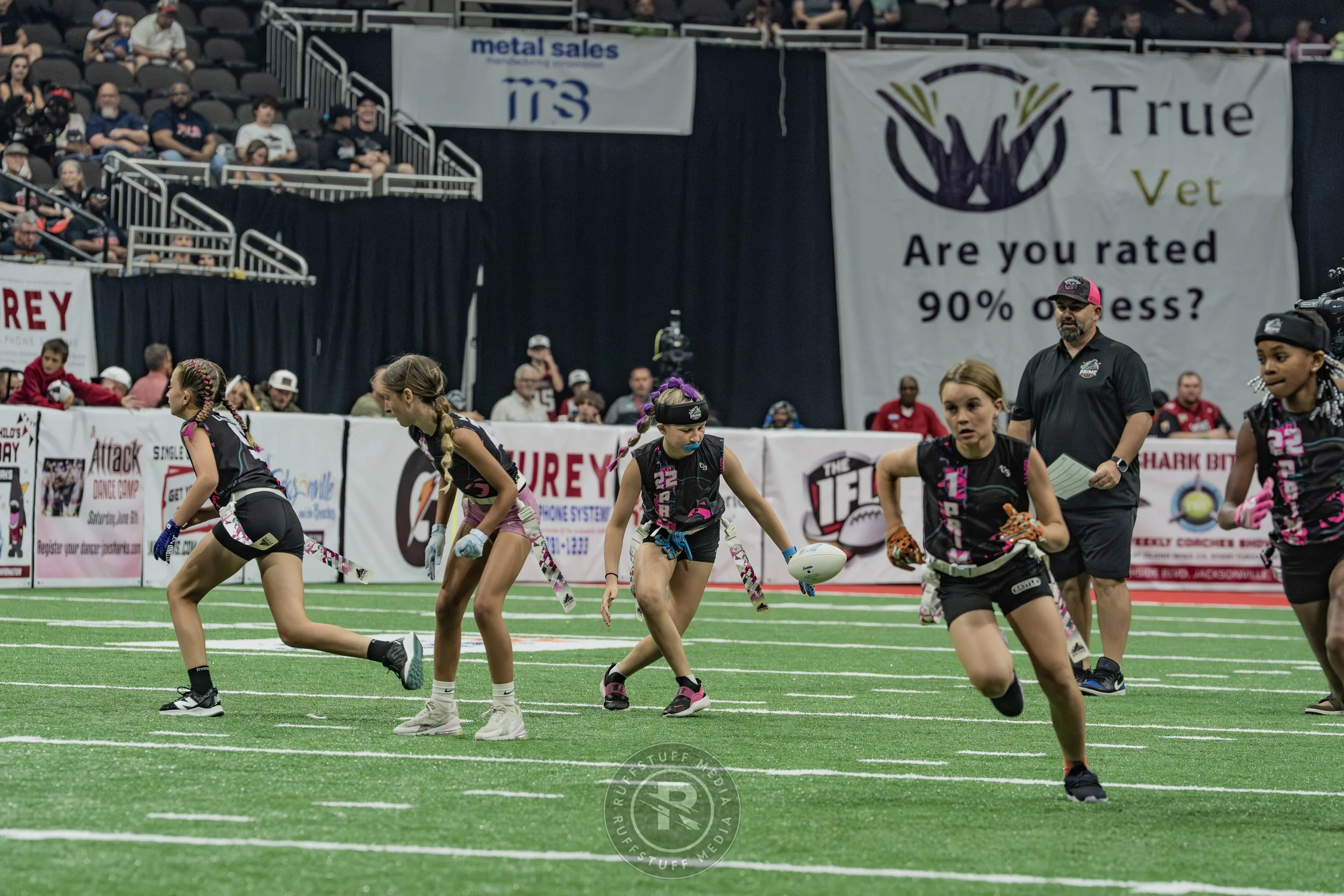 Sharks 260530-380.JPG