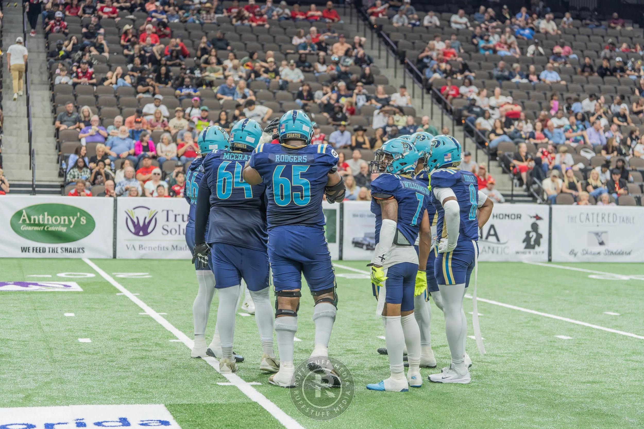Sharks 260417-232_resize.JPG