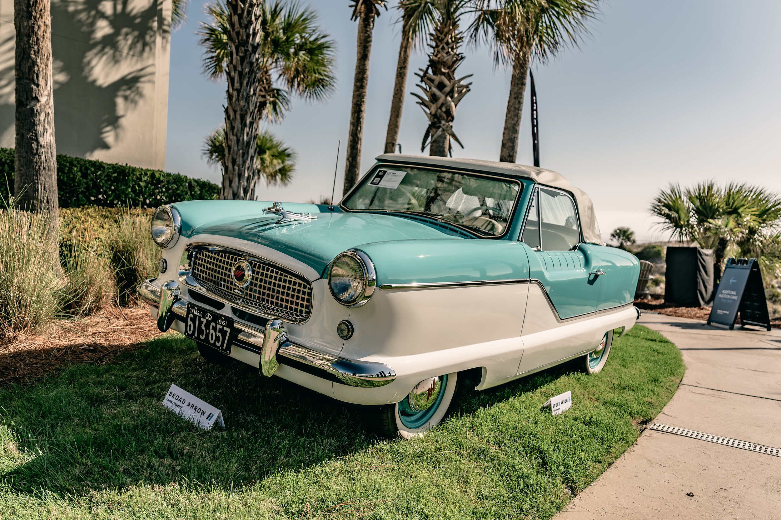 IG-Amelia 260305-5.JPG