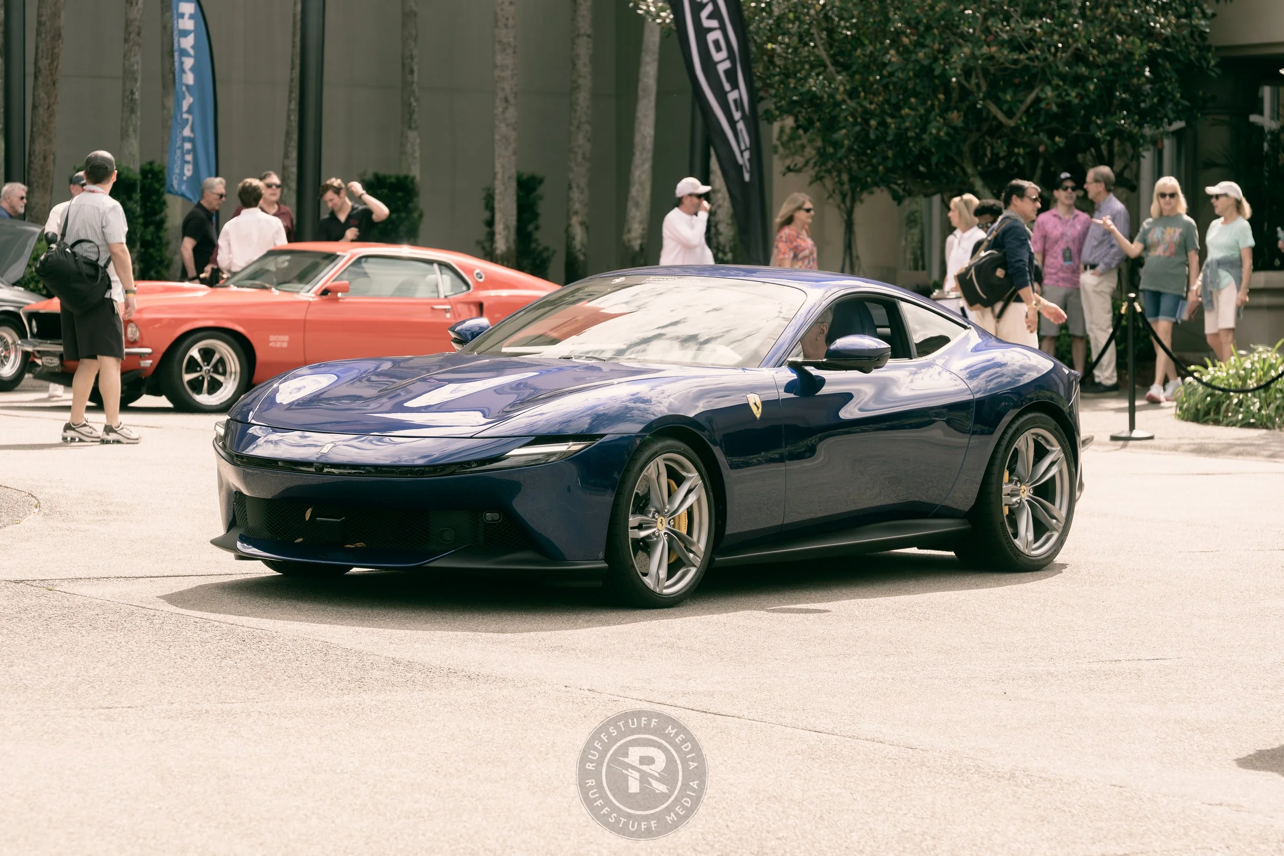 Amelia 260306-36.JPG