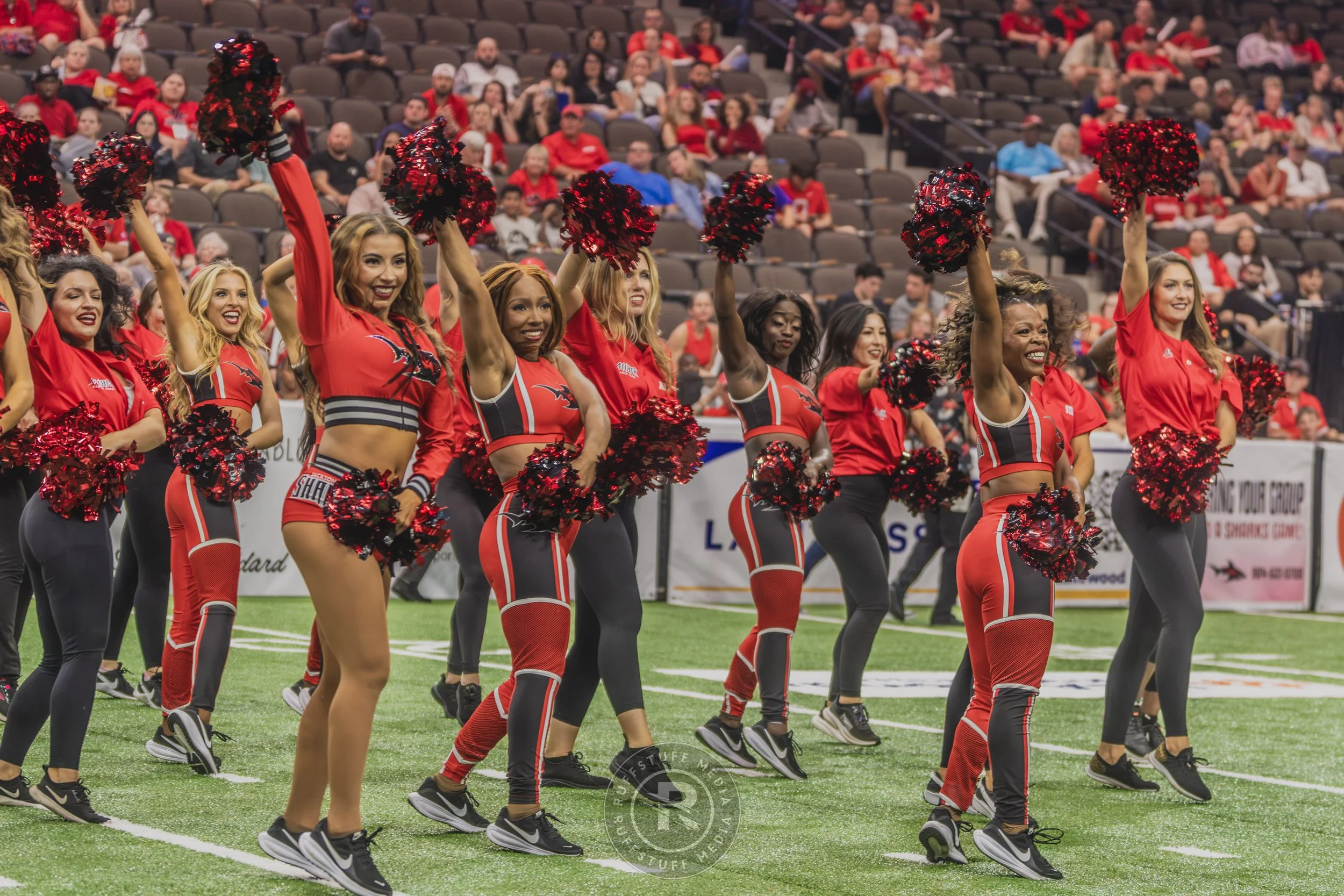 Sharks 260628-285.JPG