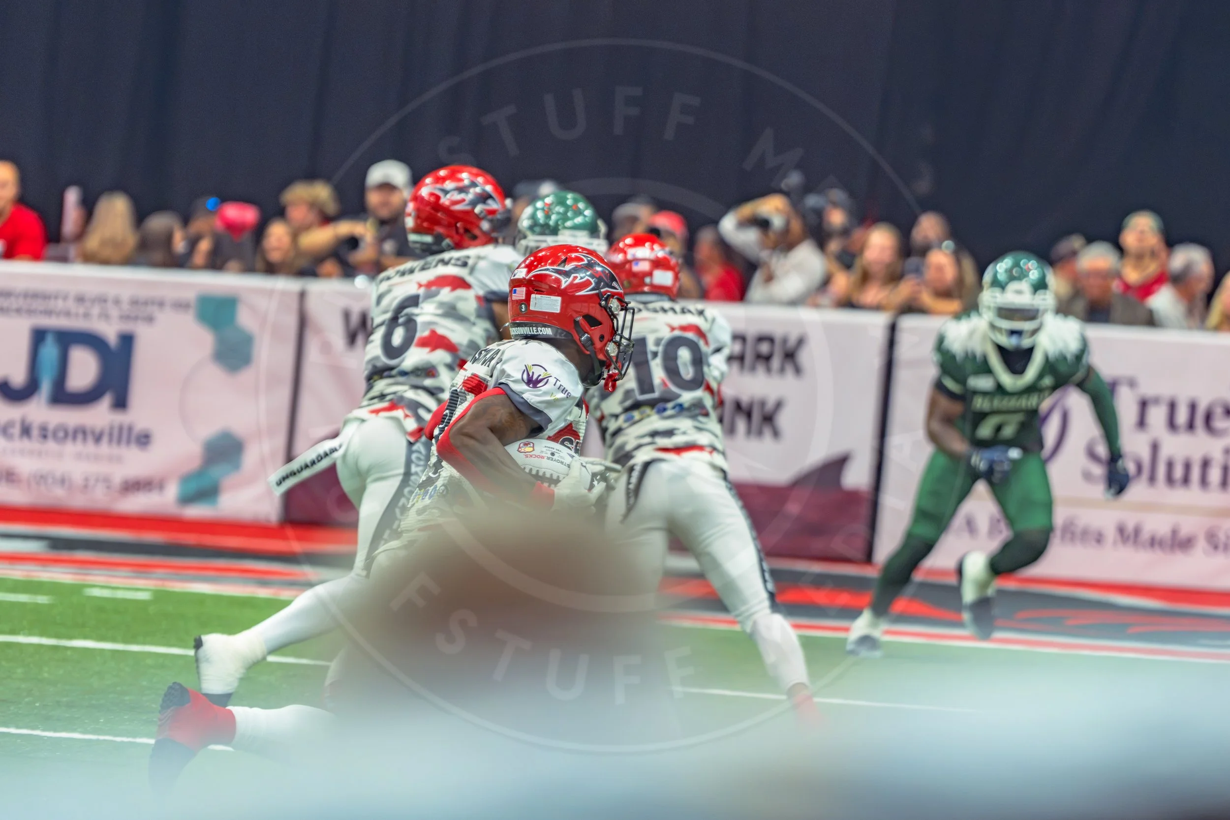 Sharks 260726-123.JPG