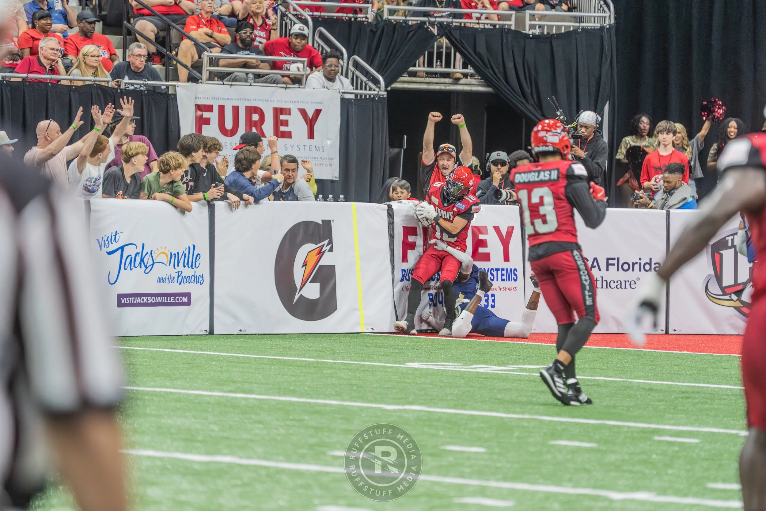 Sharks 260417-516.JPG