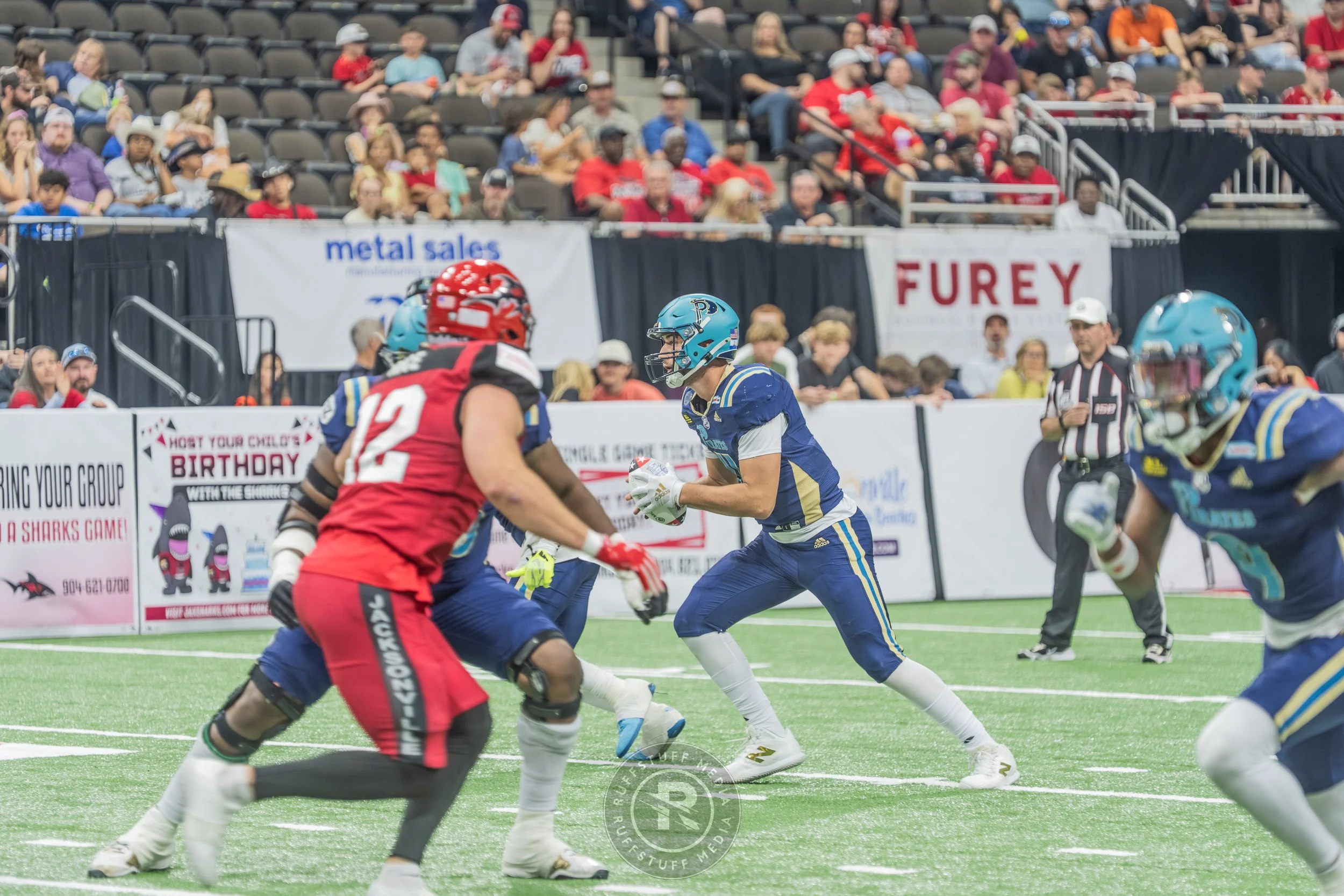 Sharks 260417-177.JPG