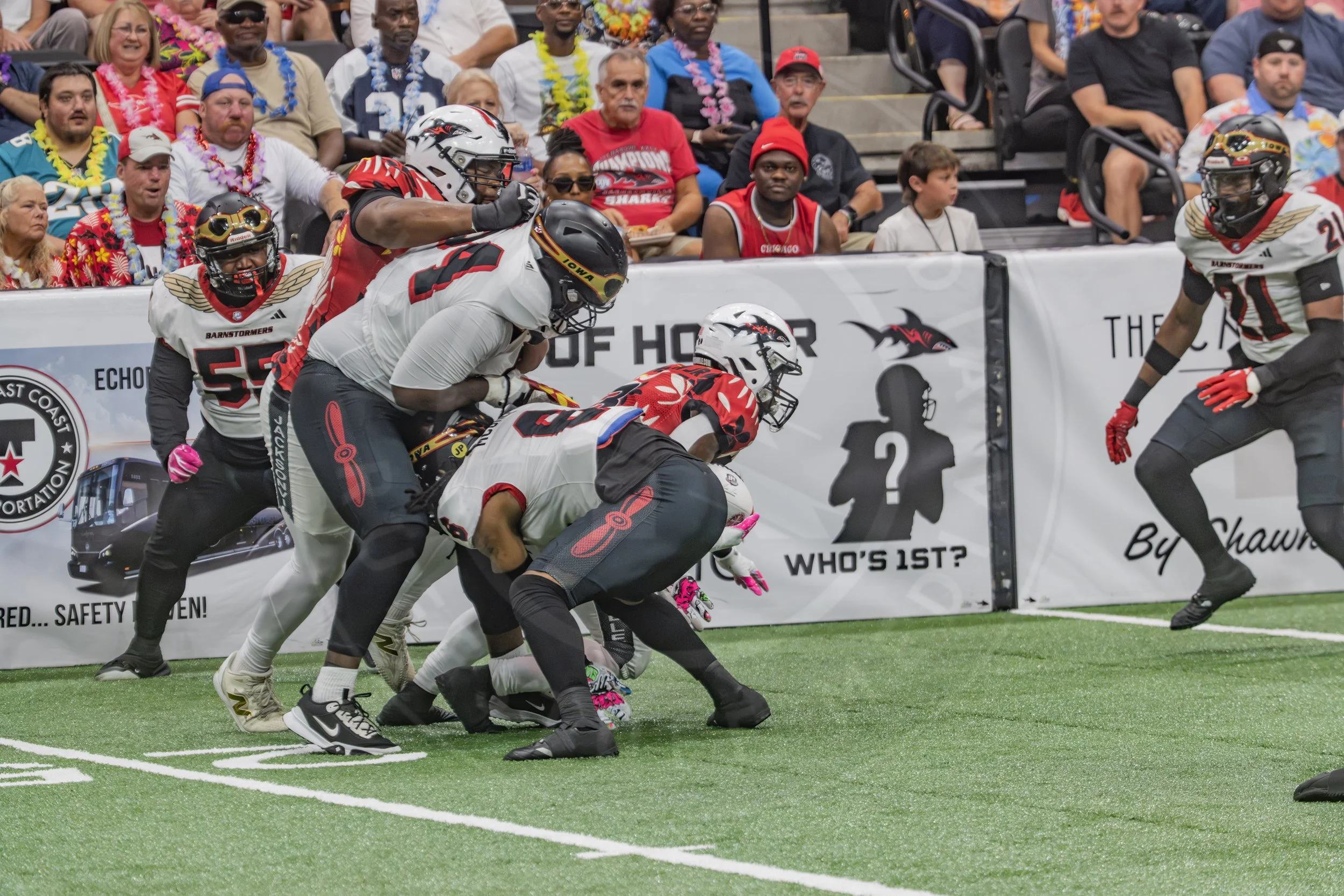 Sharks 260718-129.JPG