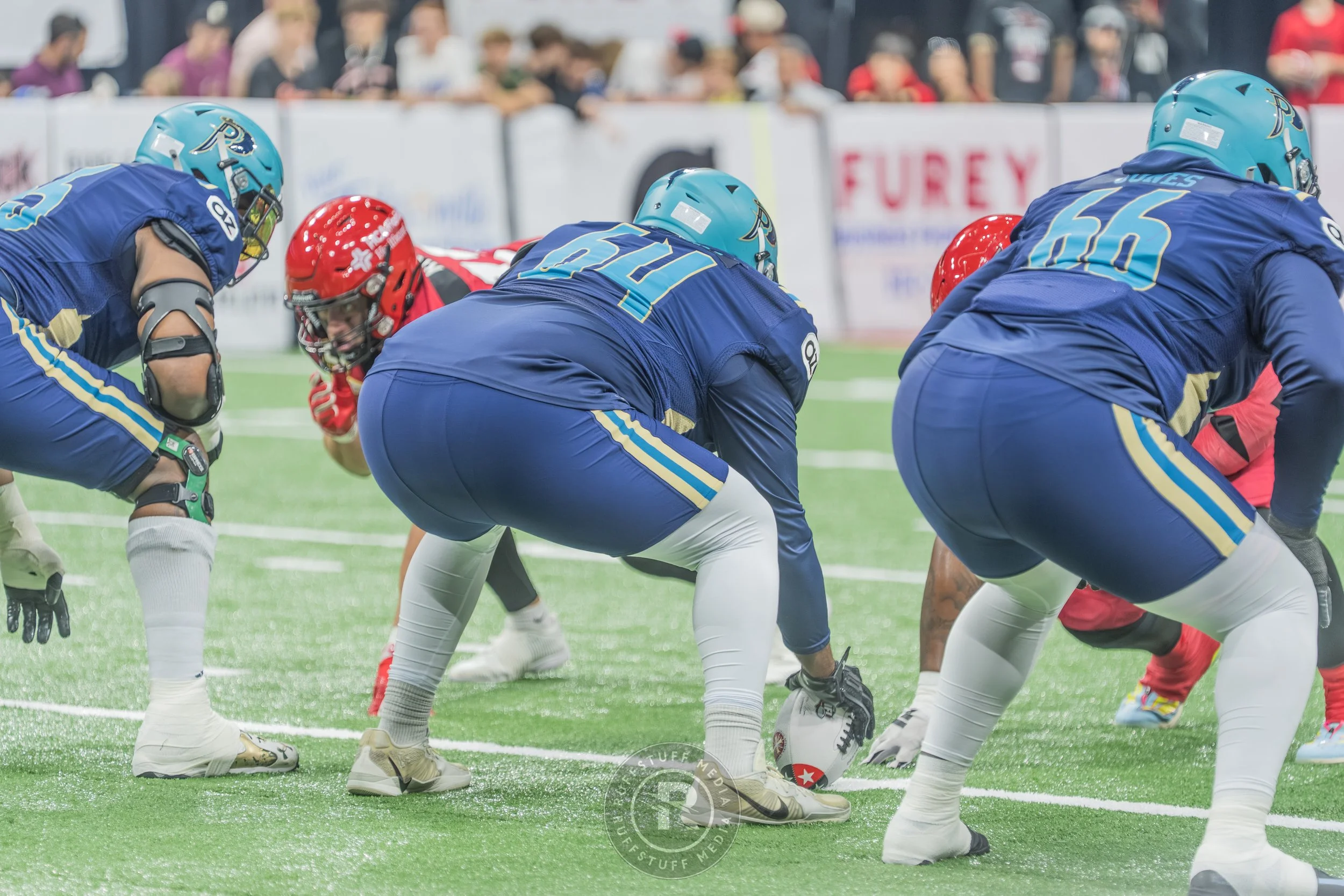 Sharks 260417-129.JPG