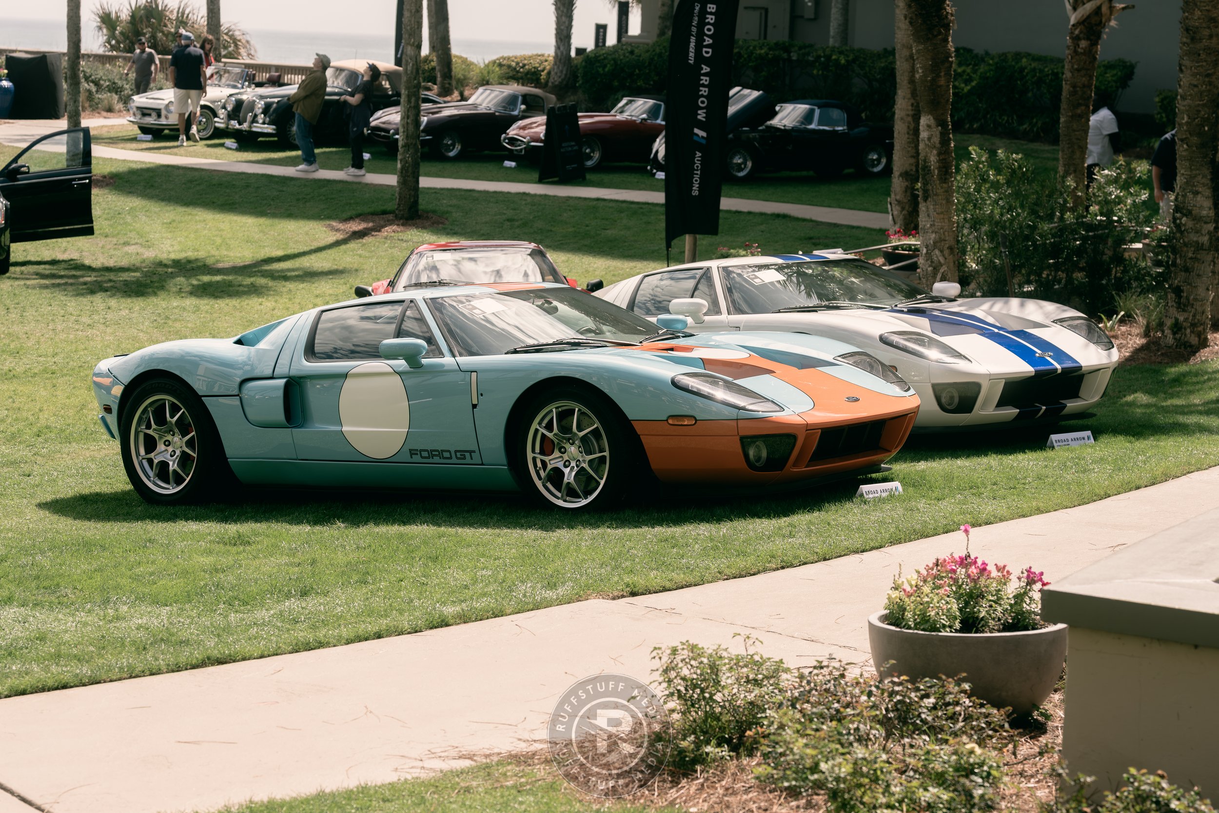 Amelia 260306-74.JPG