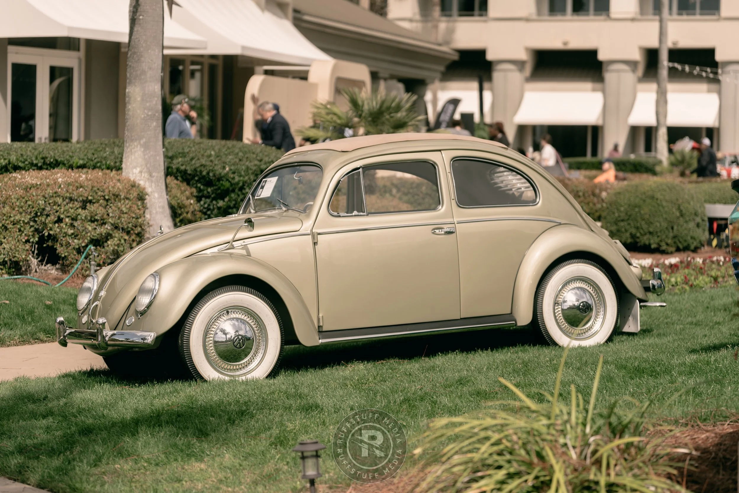 Amelia 260306-64.JPG