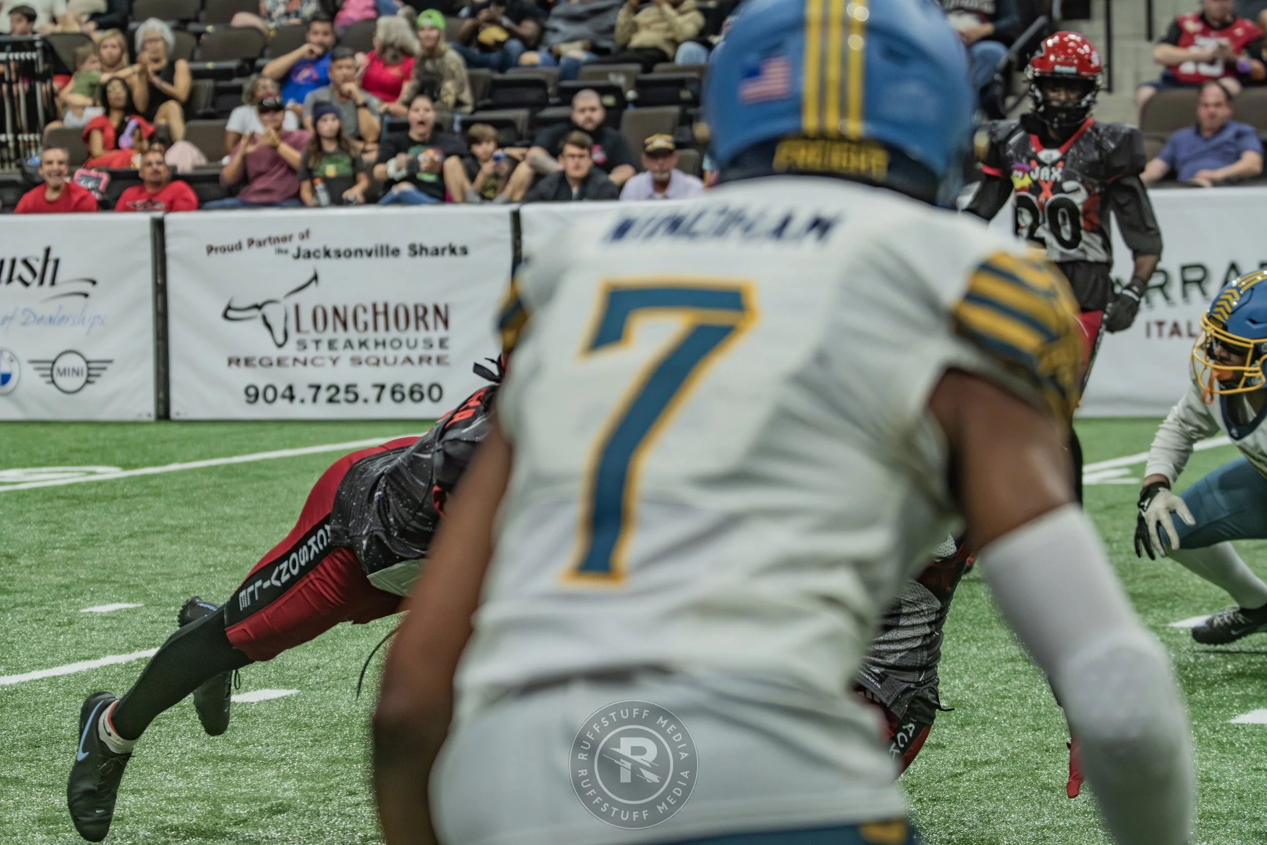 Sharks 260530-621.JPG