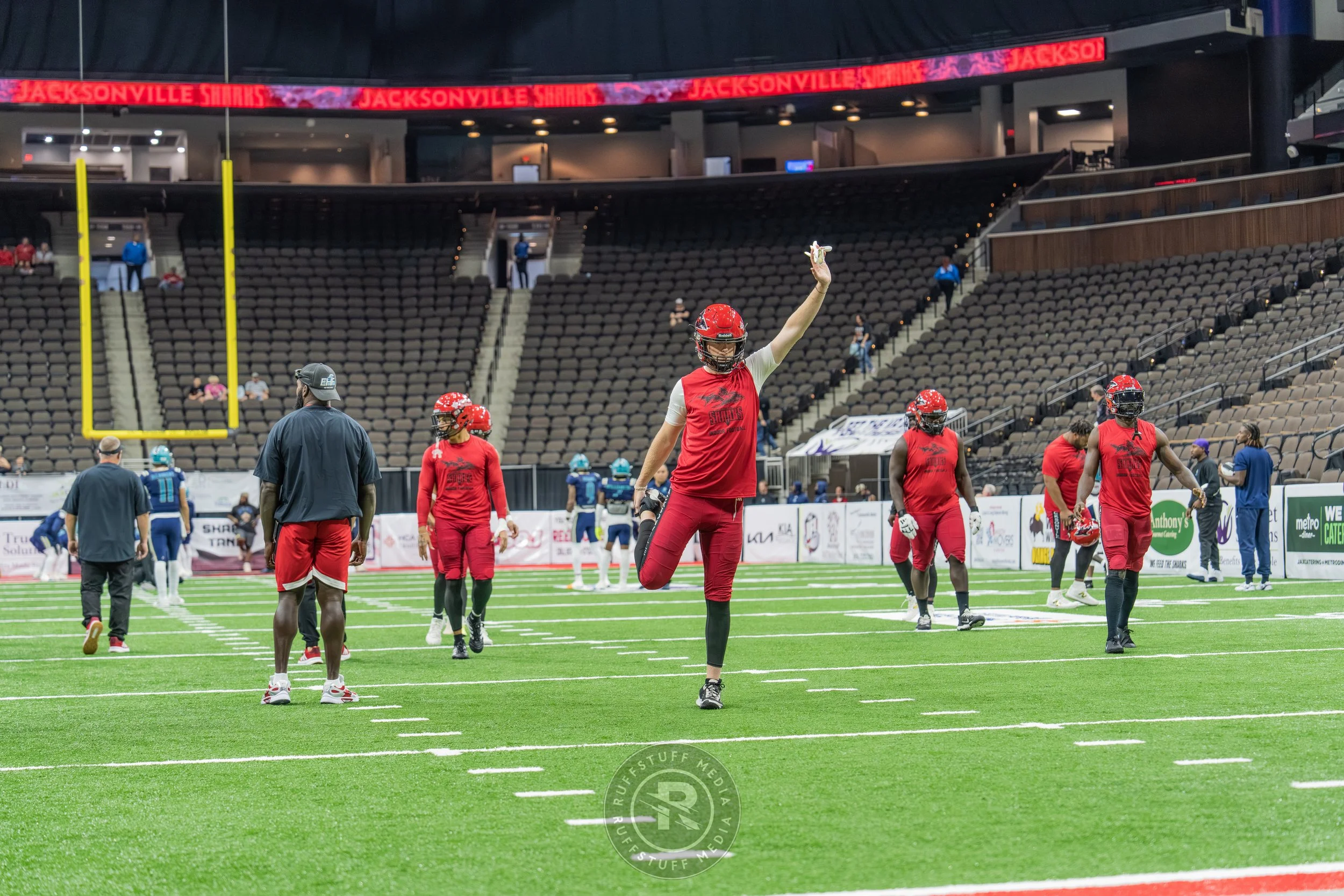 Sharks 260417-4_resize.JPG