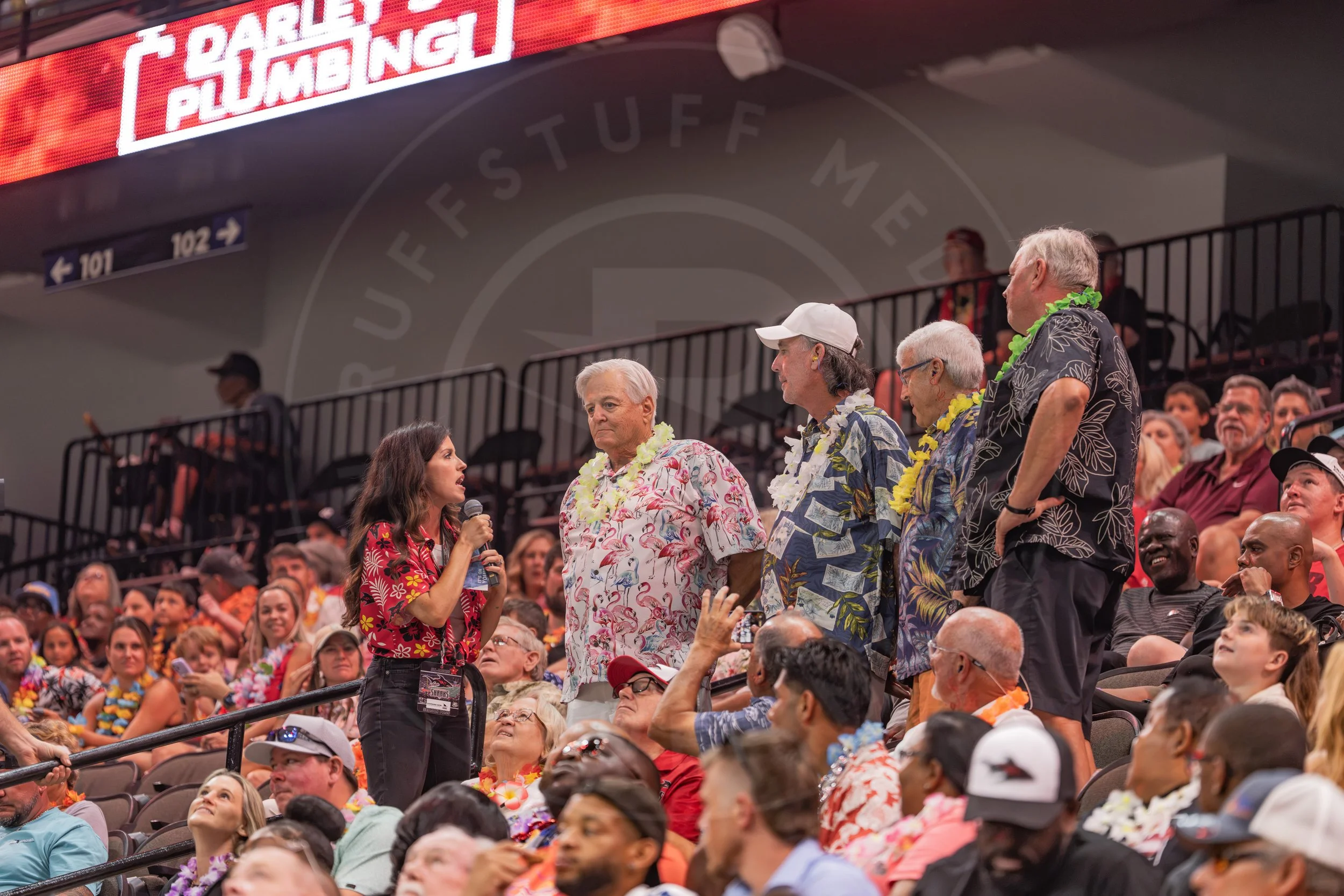 Sharks 260718-24.JPG