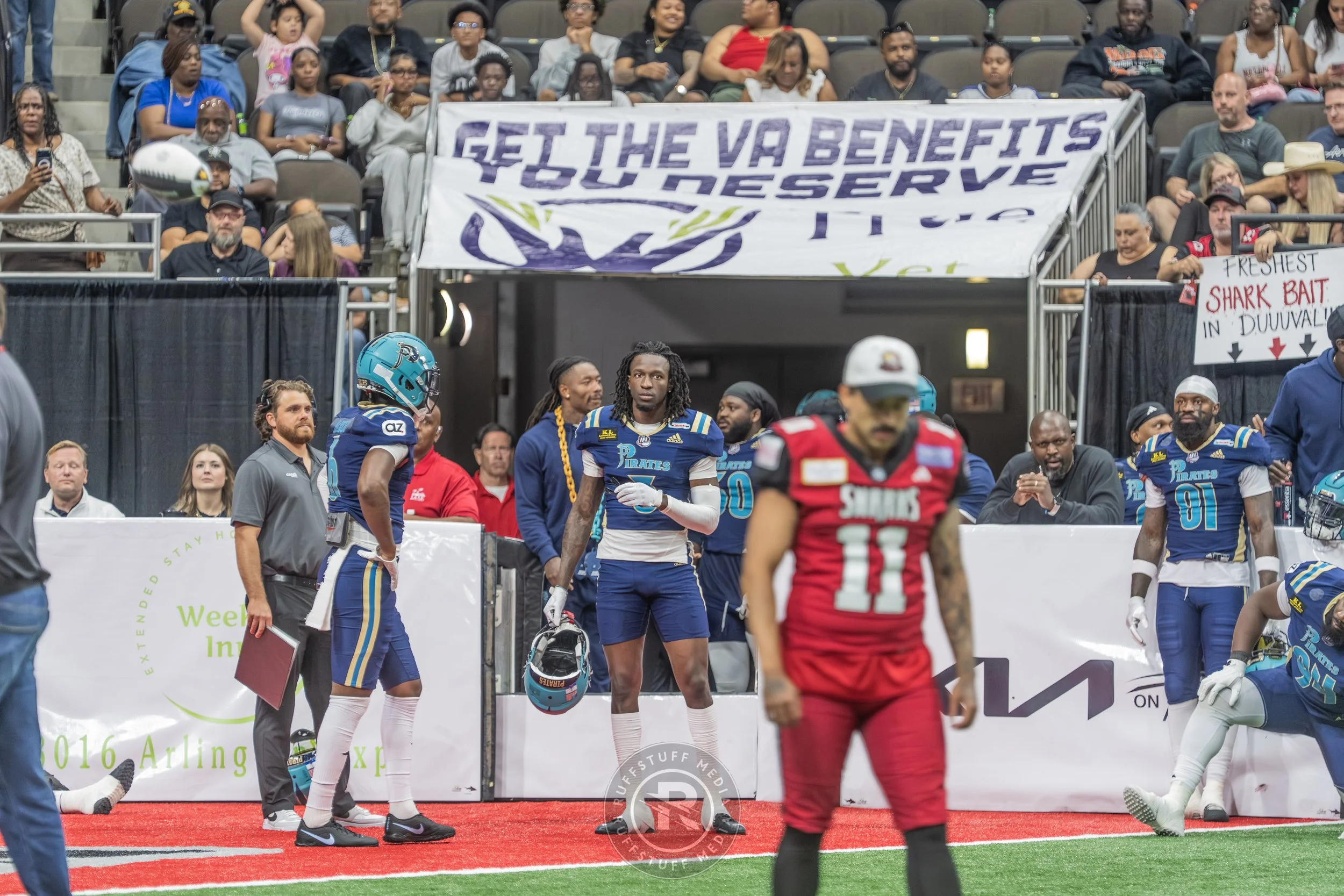 Sharks 260417-328.JPG