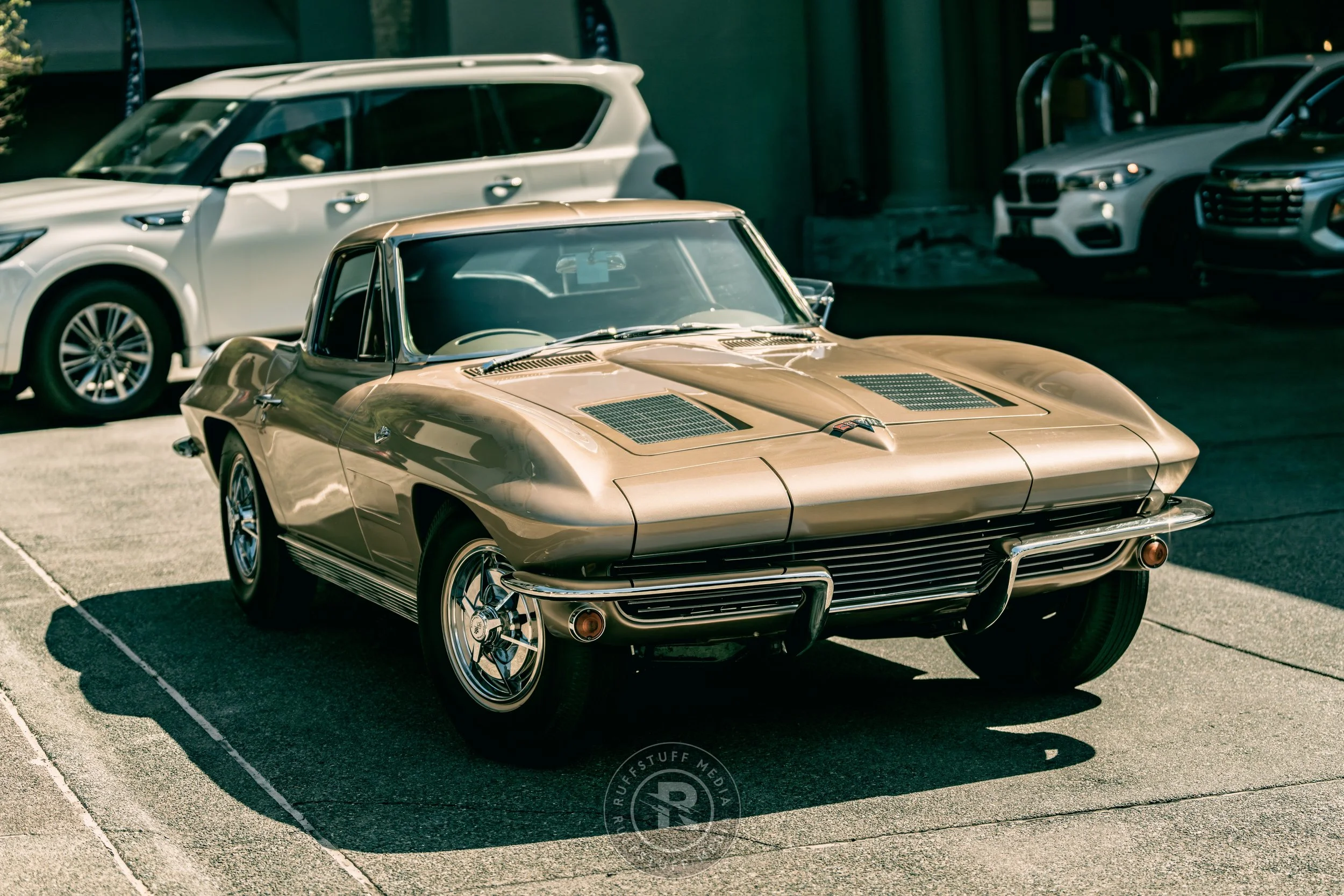 Amelia 260305-52_resize.JPG