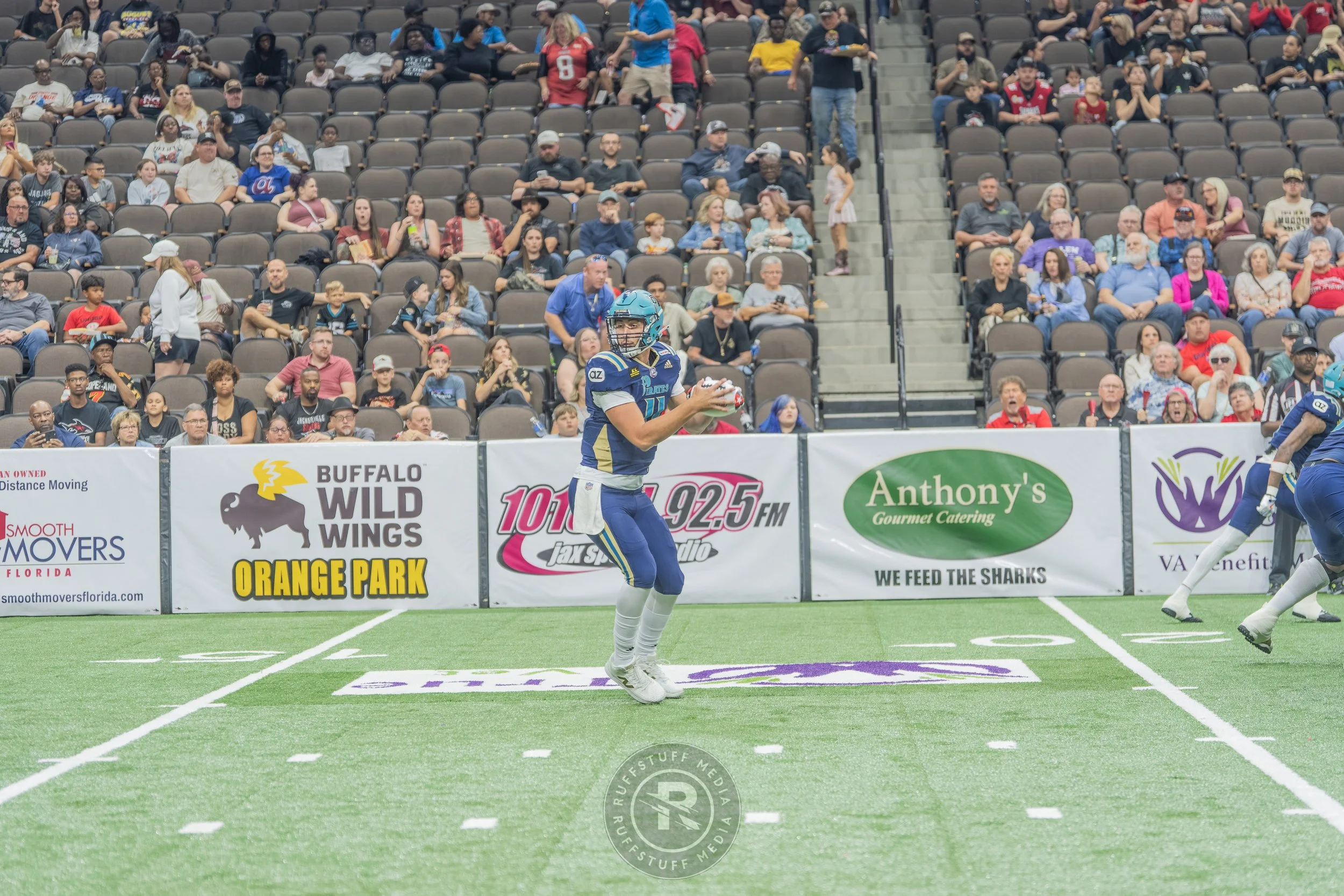 Sharks 260417-126.JPG