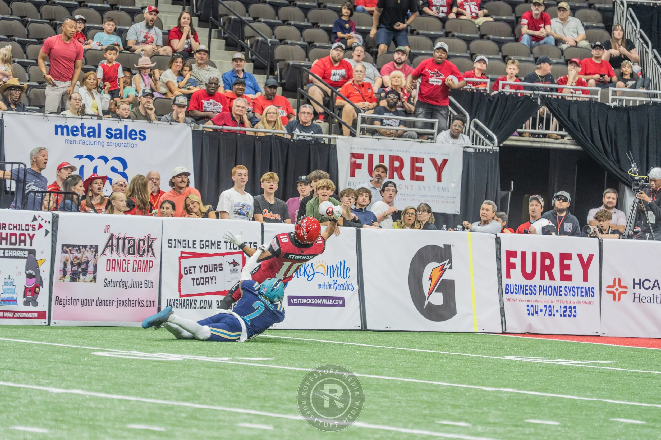 Sharks 260417-479.JPG