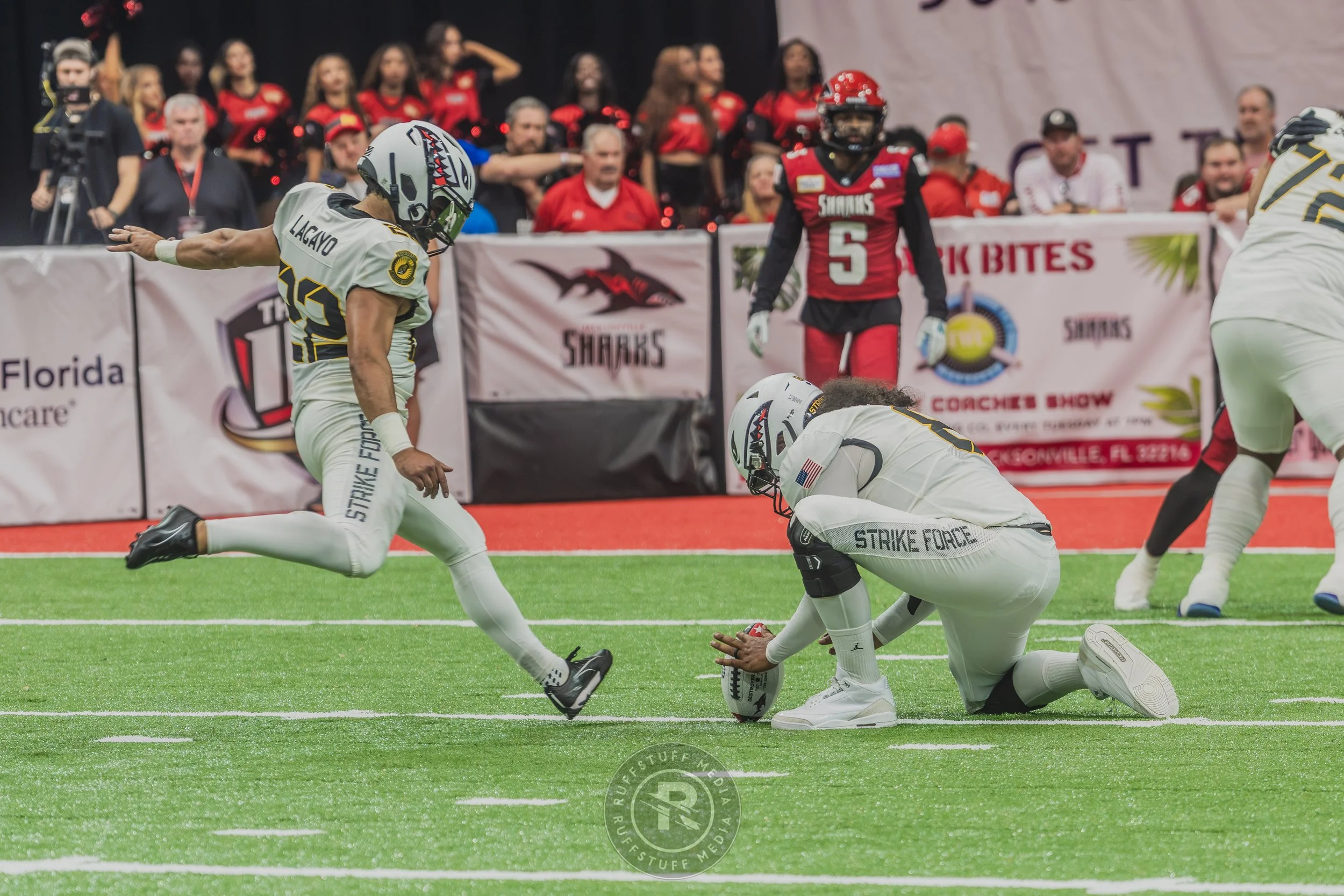Sharks 260628-455.JPG
