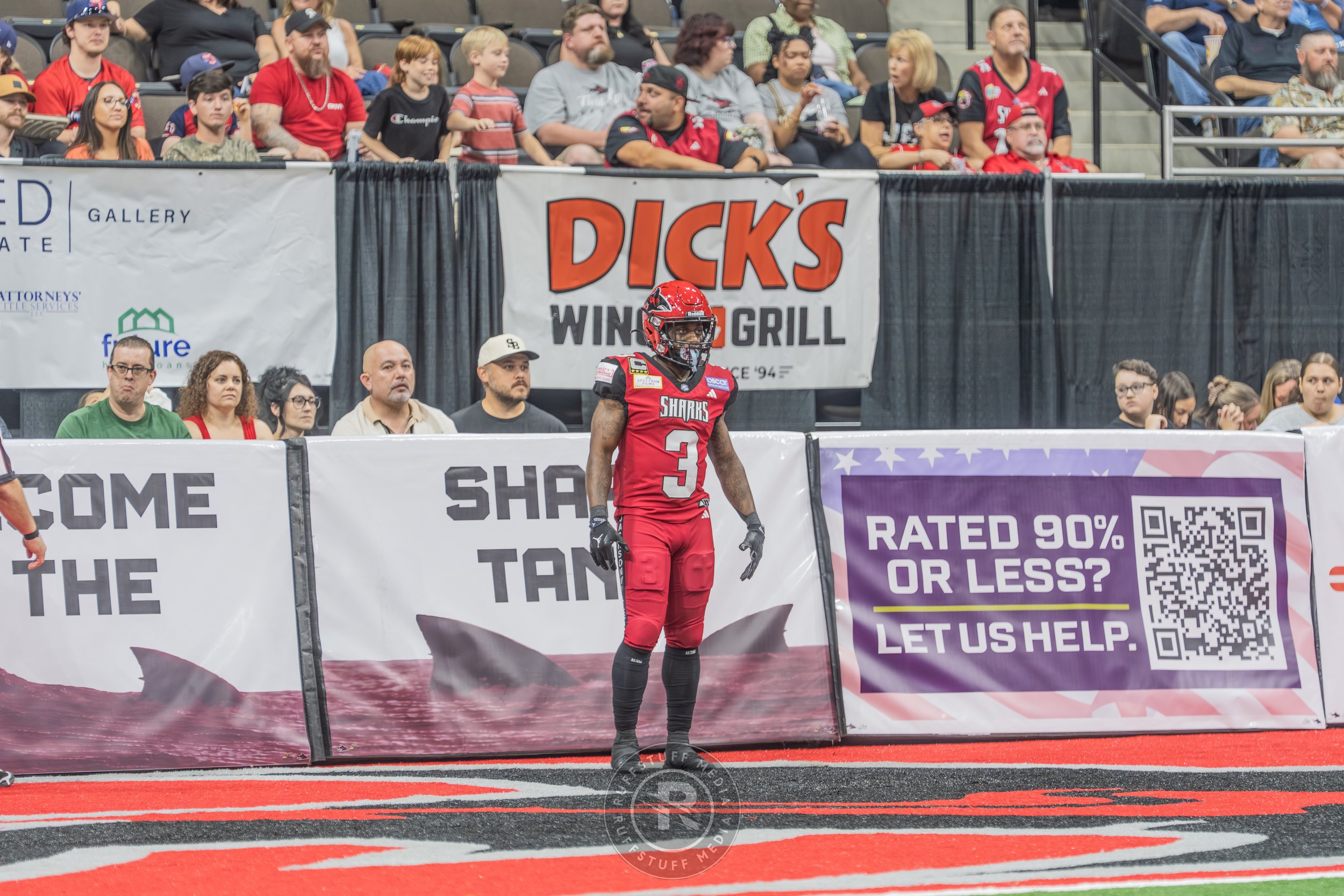 Sharks 260417-158.JPG