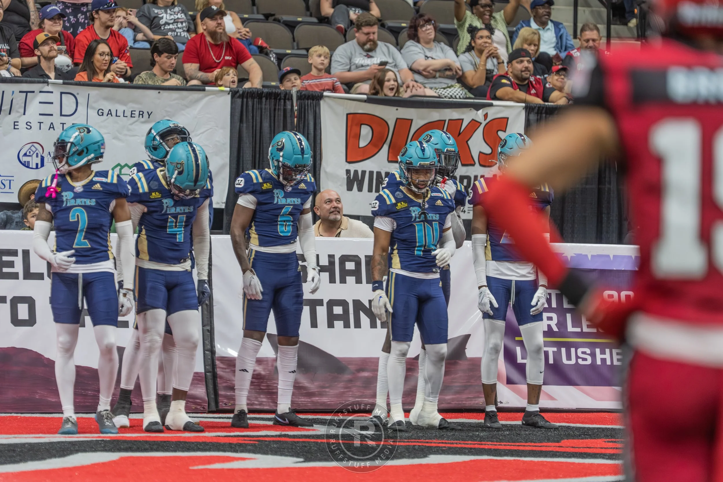 Sharks 260417-367_resize.JPG