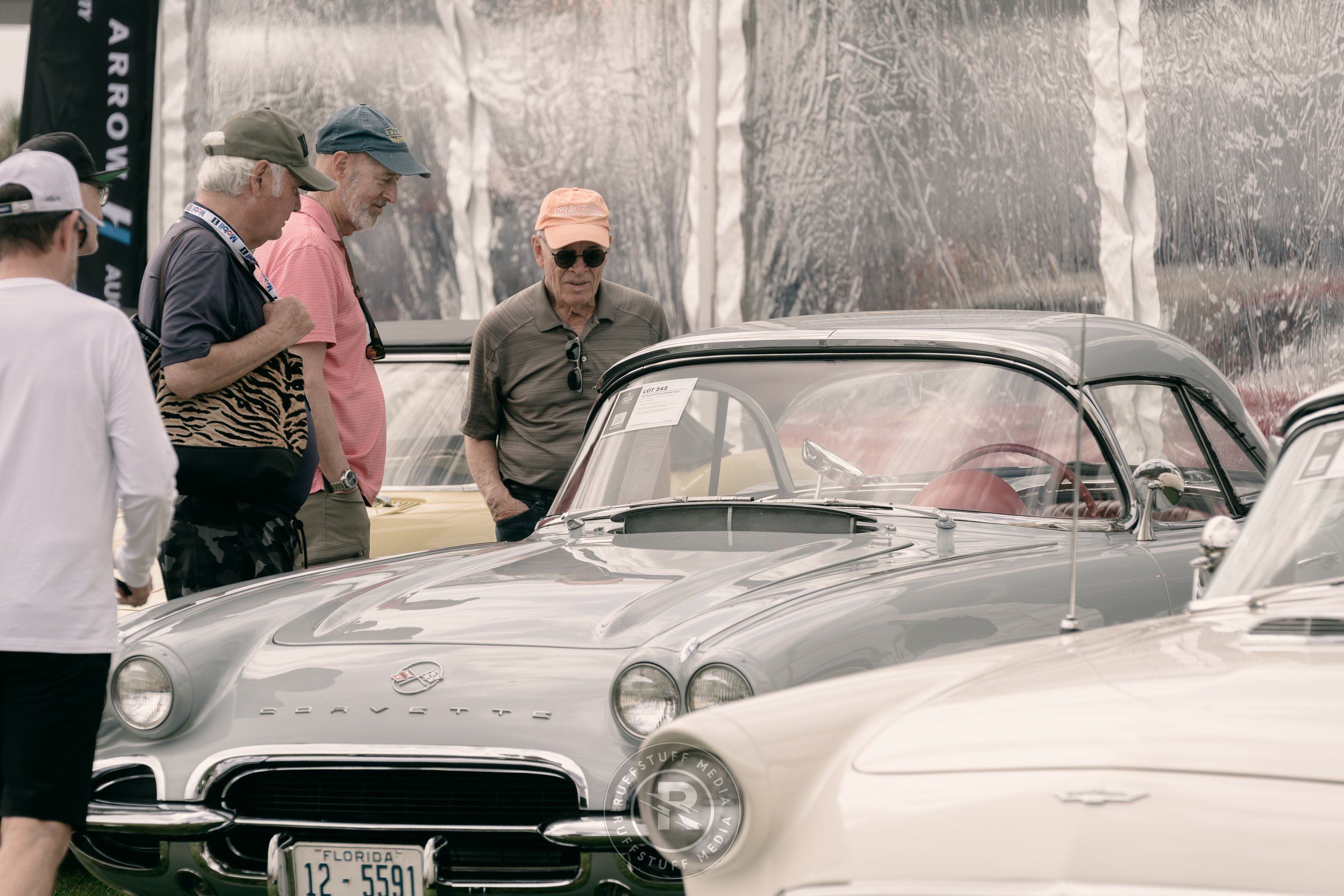 Amelia 260306-55.JPG