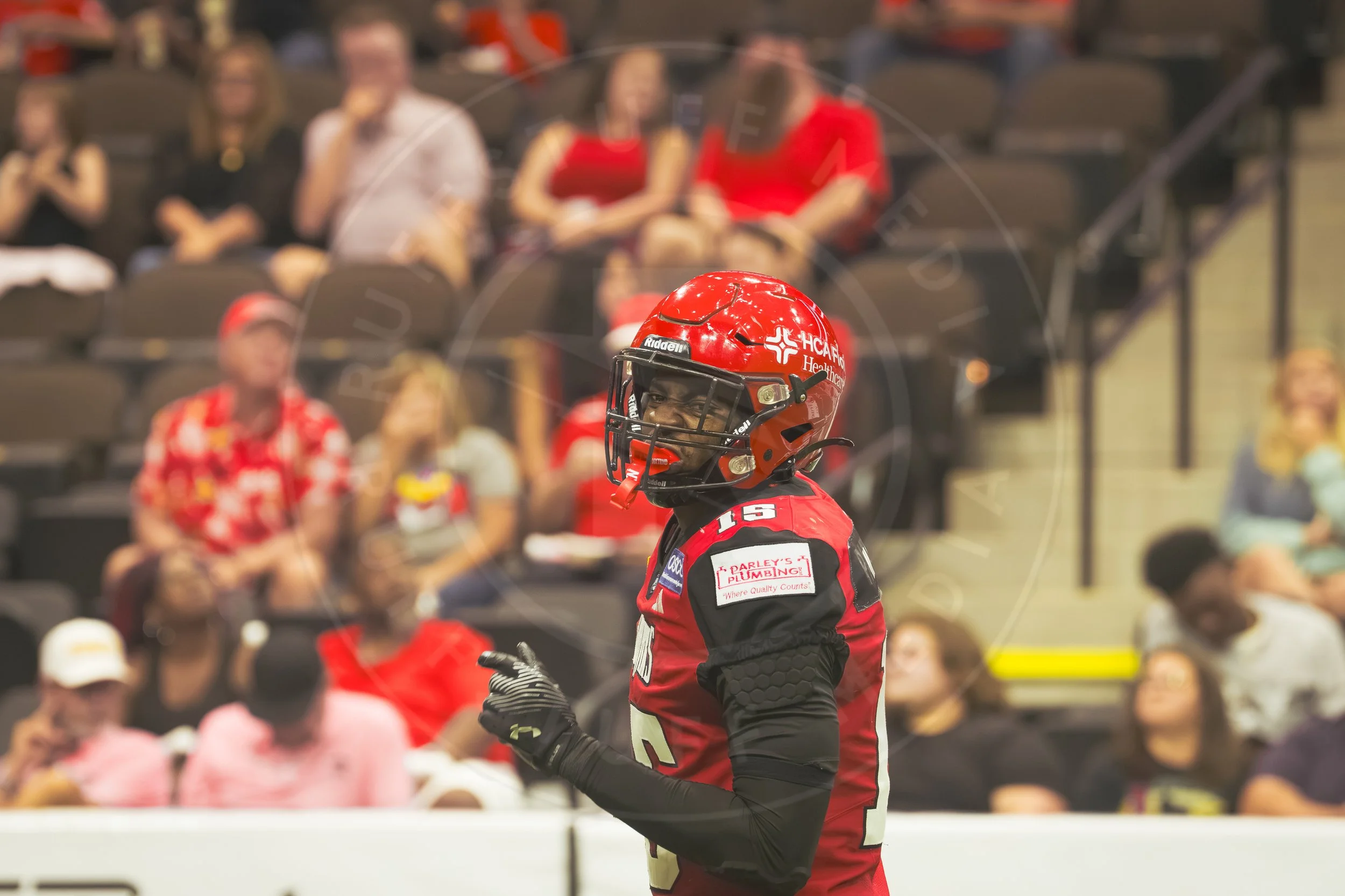 Sharks 260801-116.JPG