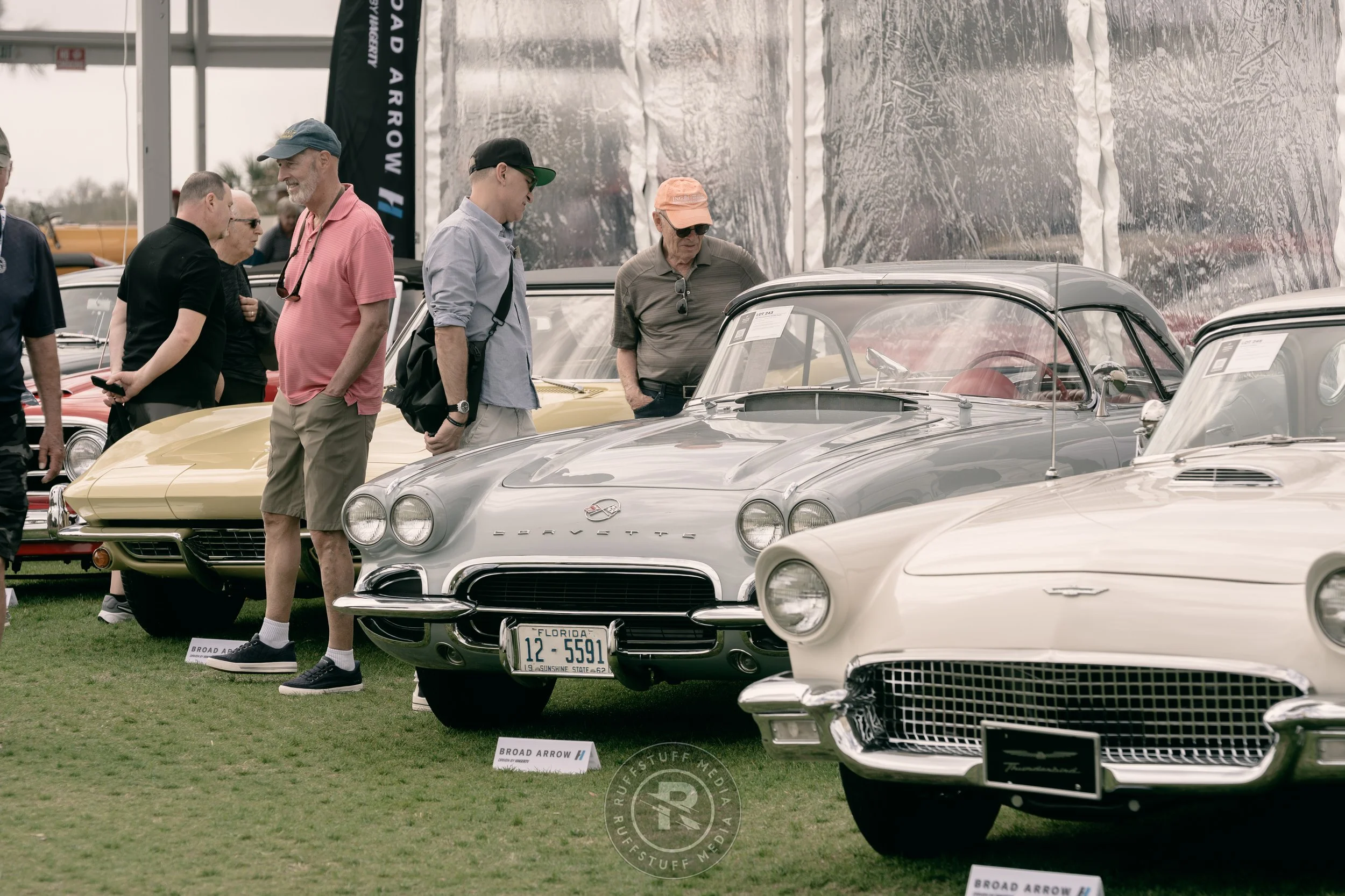 Amelia 260306-56.JPG