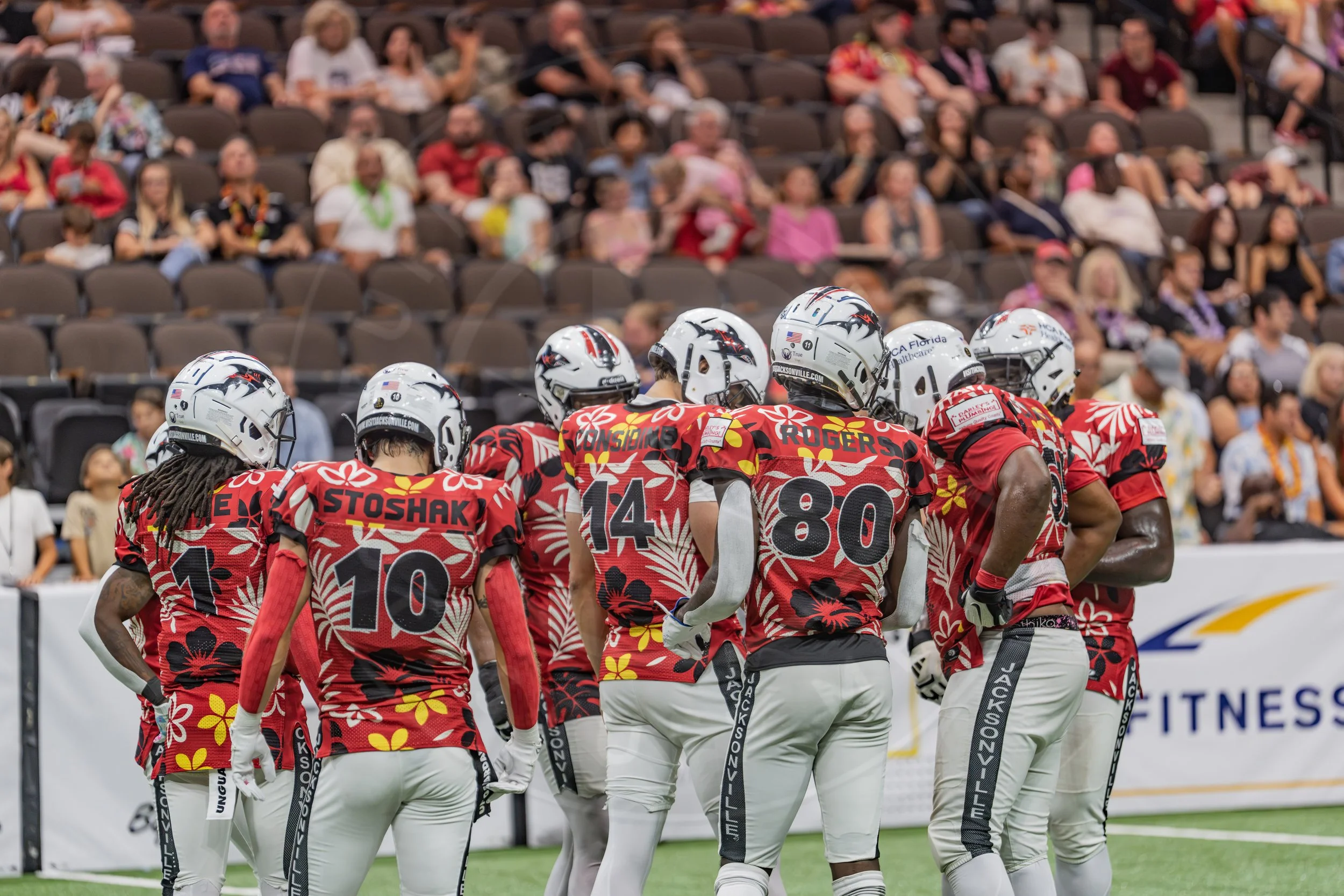 Sharks 260718-230.JPG